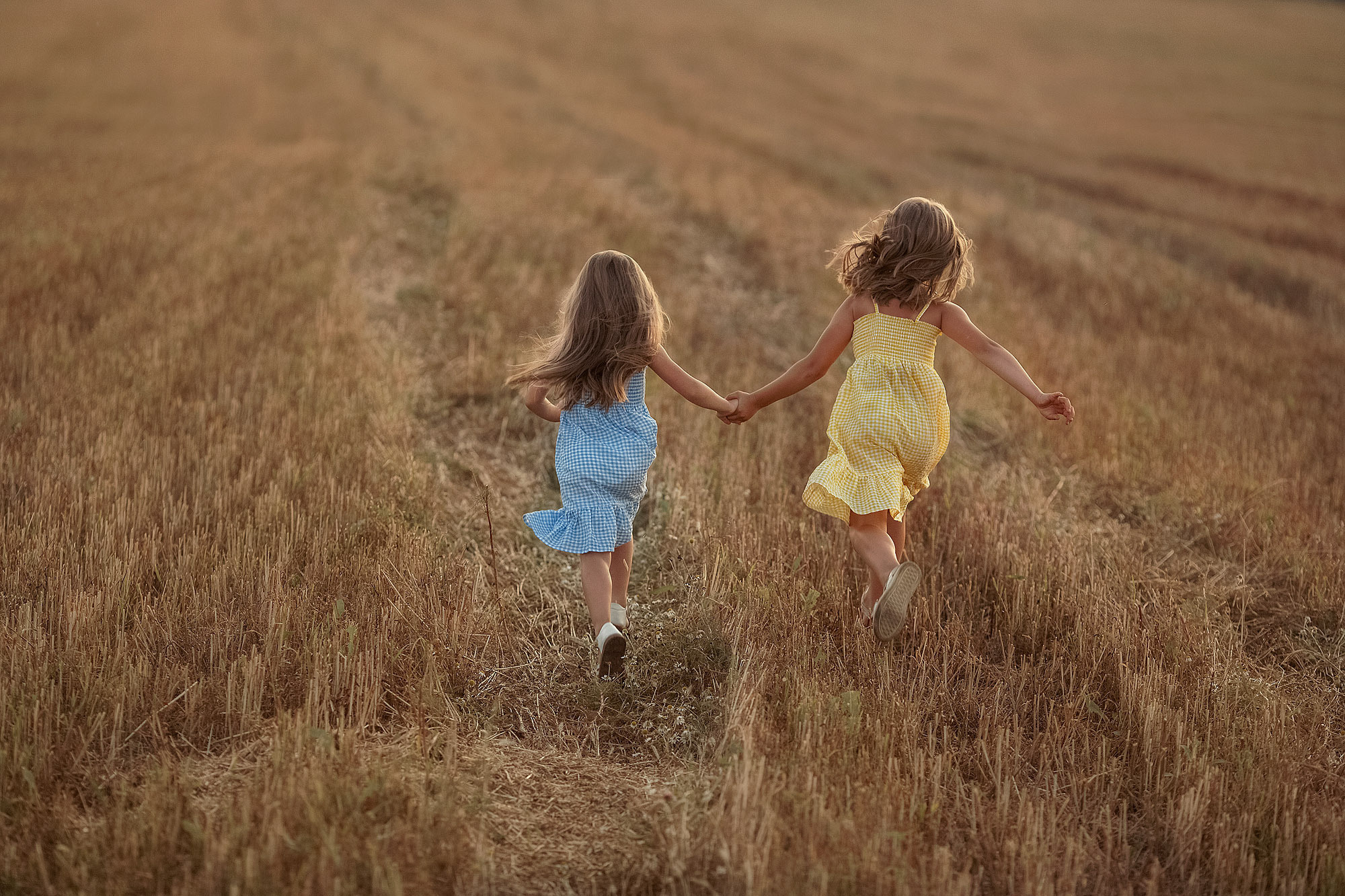 Нежная летняя история в поле. Семейный фотограф Татьяна Надеждина | Москва, Московская область, Ярославль