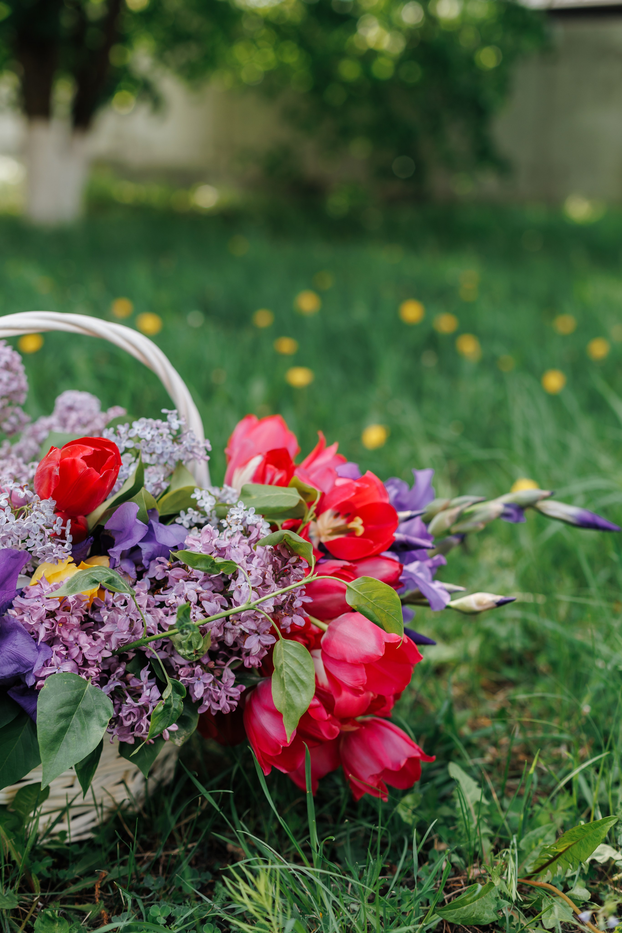 5 класс. Свадебный и семейный фотограф в городе Воронеж. Ирина Боловина