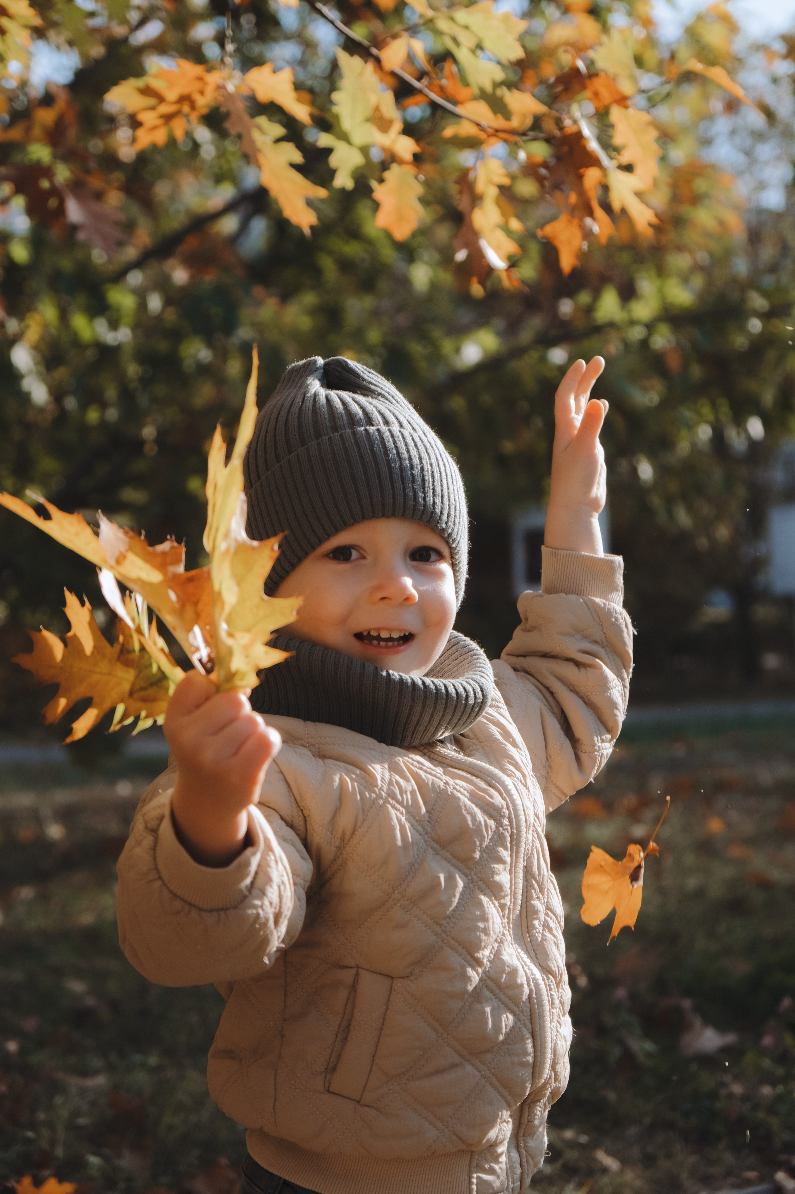 Семейная съемка (осень). Serg_film