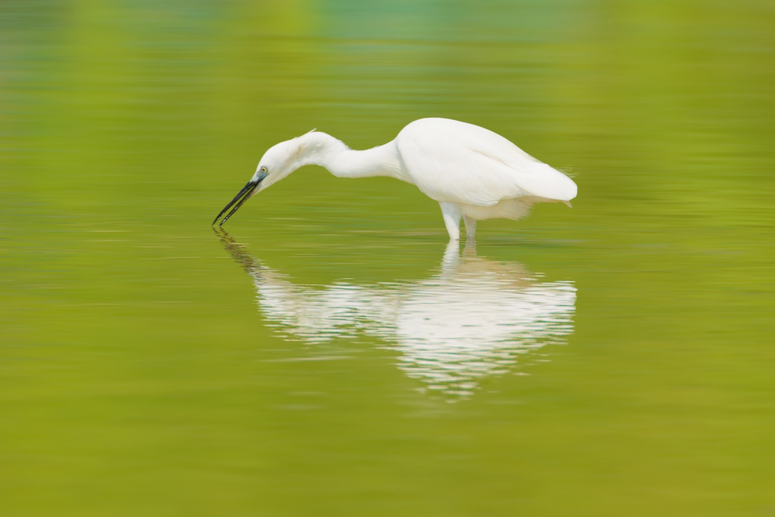 ПРИРОДА. Слепки времени. Фотографии природы и событий. Москва. Сергей Аллагулов