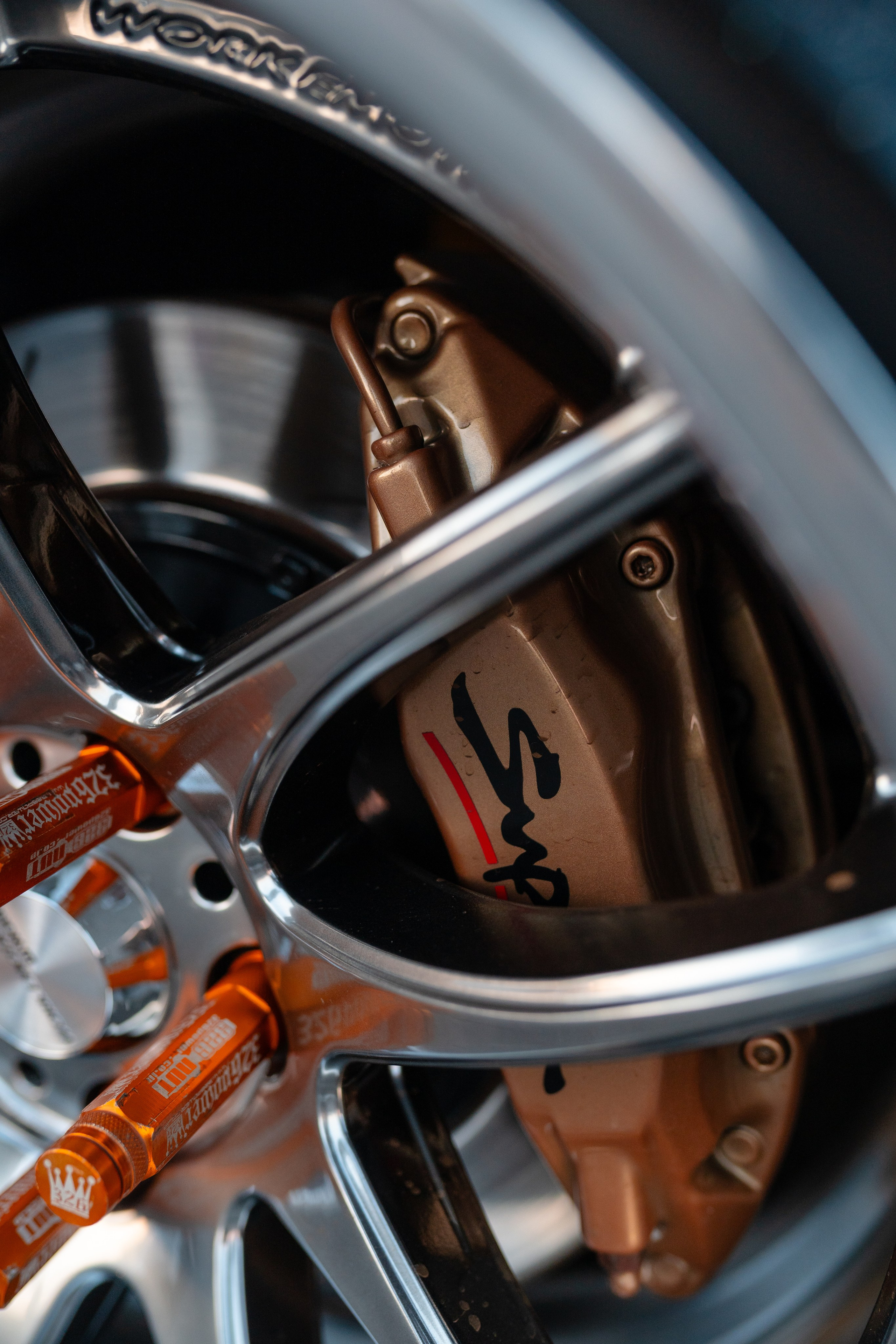 DOWNFLY | 13.07.2024. Mirllaev