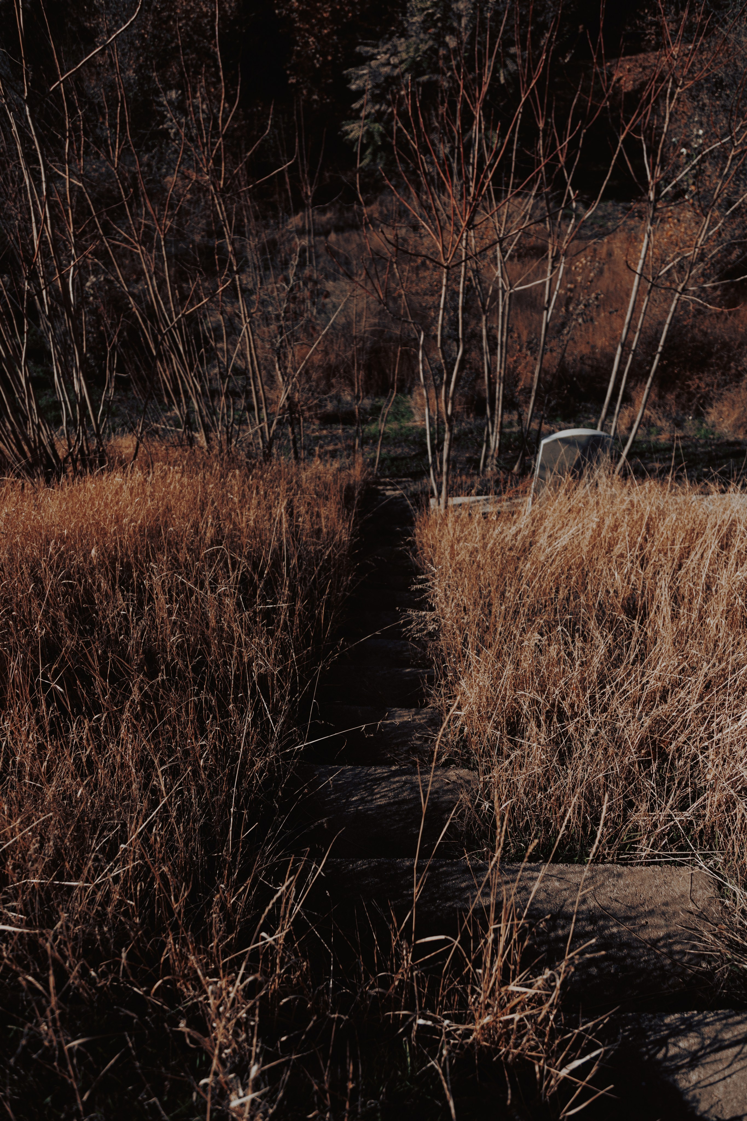 Узбекистан. Креатор Ольга Яш