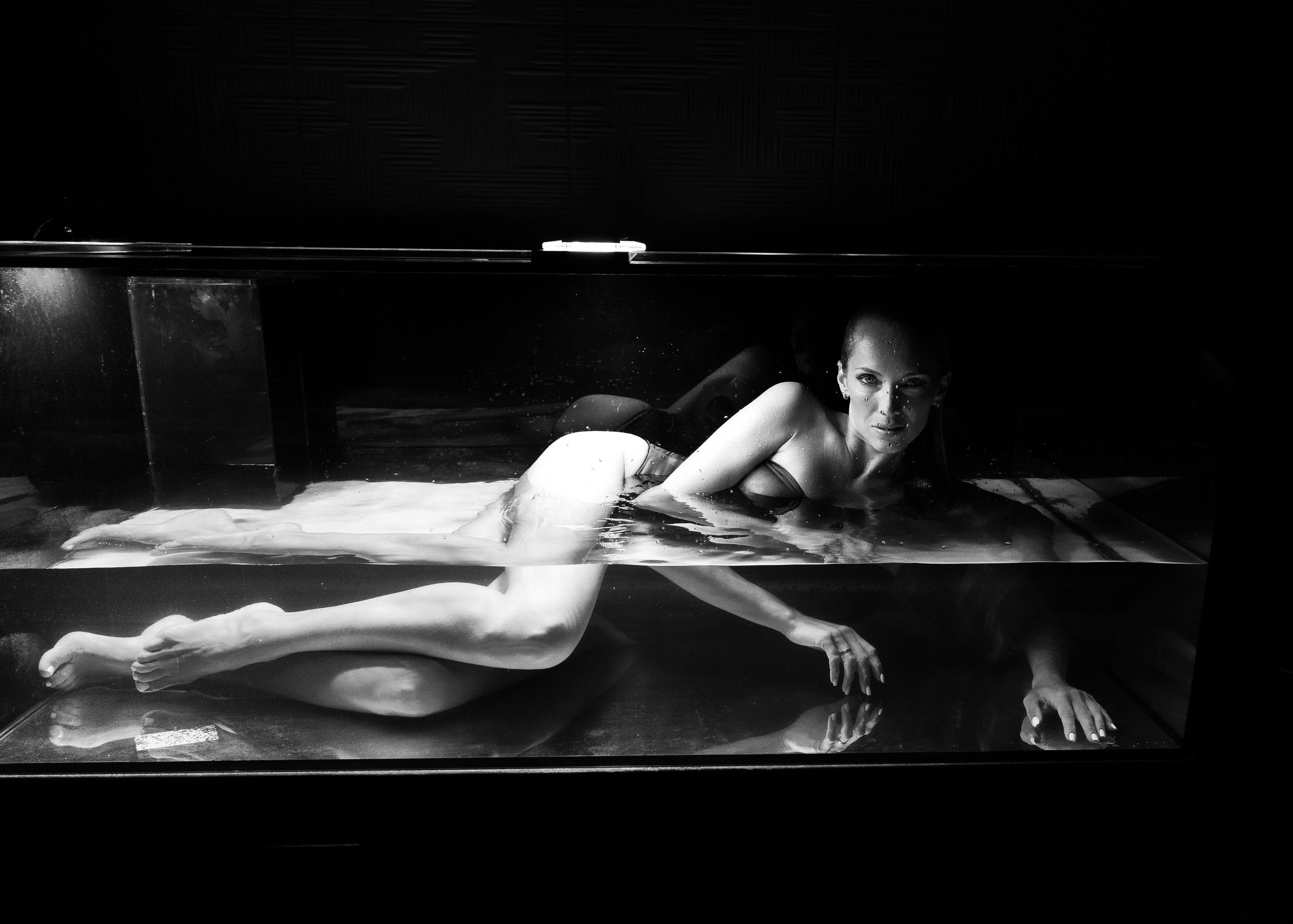 Аквариум. Семейный и Свадебный фотограф в Сочи