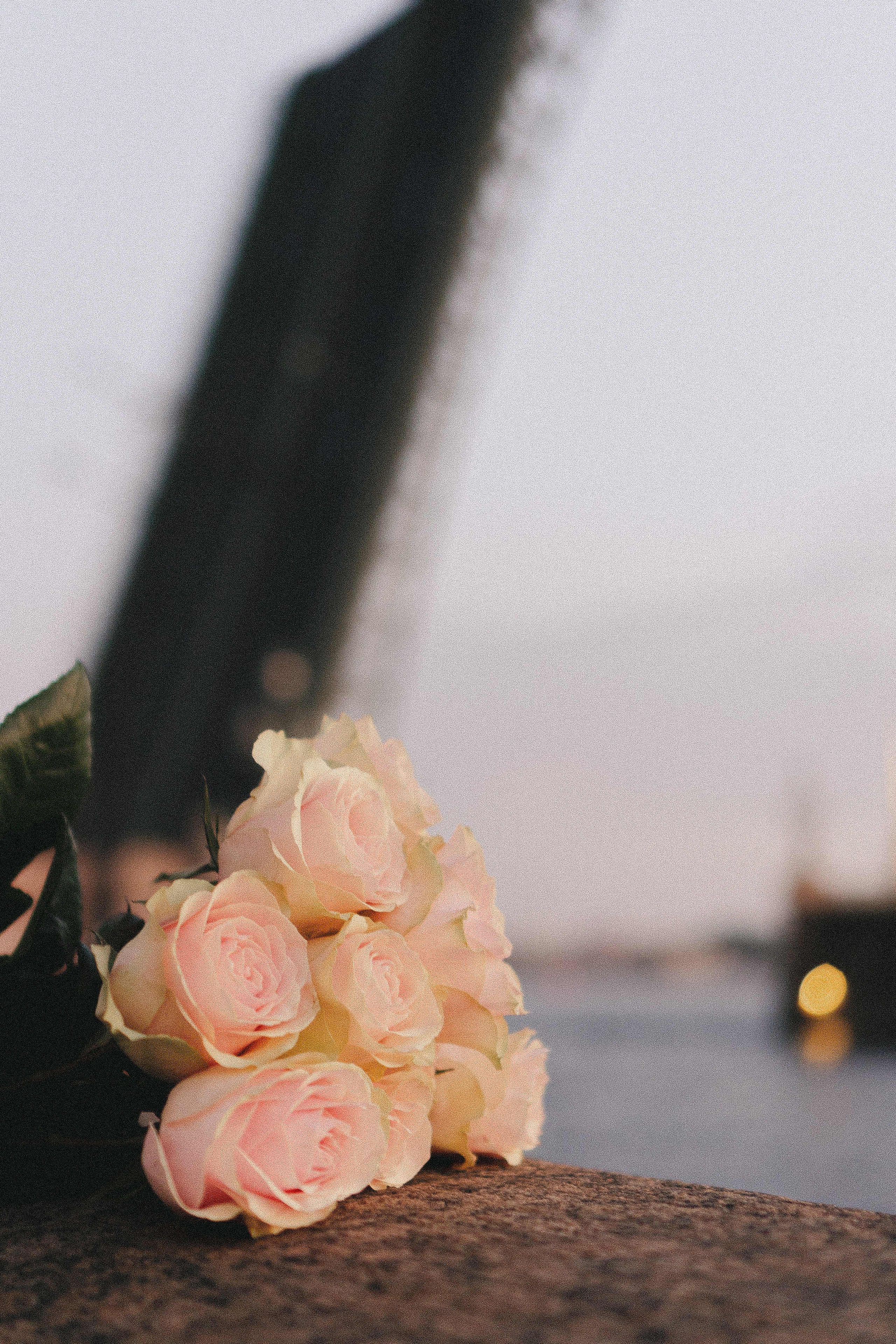 РАССВЕТНАЯ ИСТОРИЯ. Профессиональный фотограф, Санкт-Петербург — Виктория Богомолова