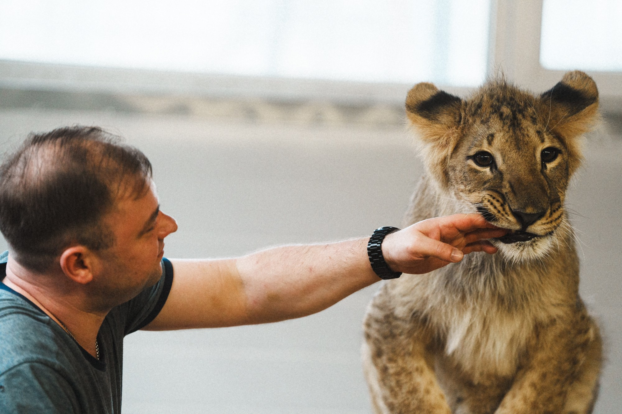 Карельский зоопарк. Zekons. Фото, видео, нейросети