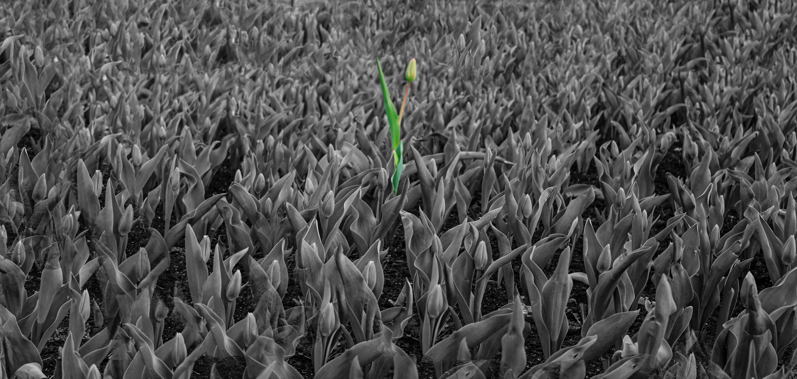 Пейзажи. Фотограф из Санкт-Петербурга — Виктория Горелкова