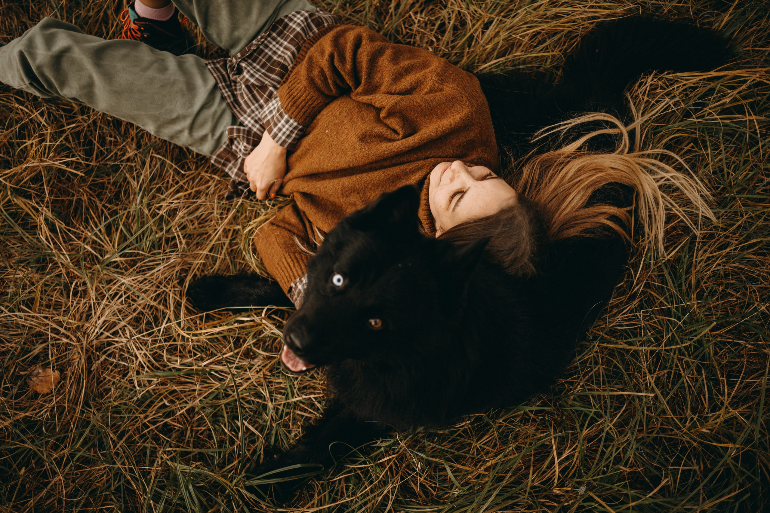 Лора и Джанго. Фотограф — Анималист | Санкт-Петербург