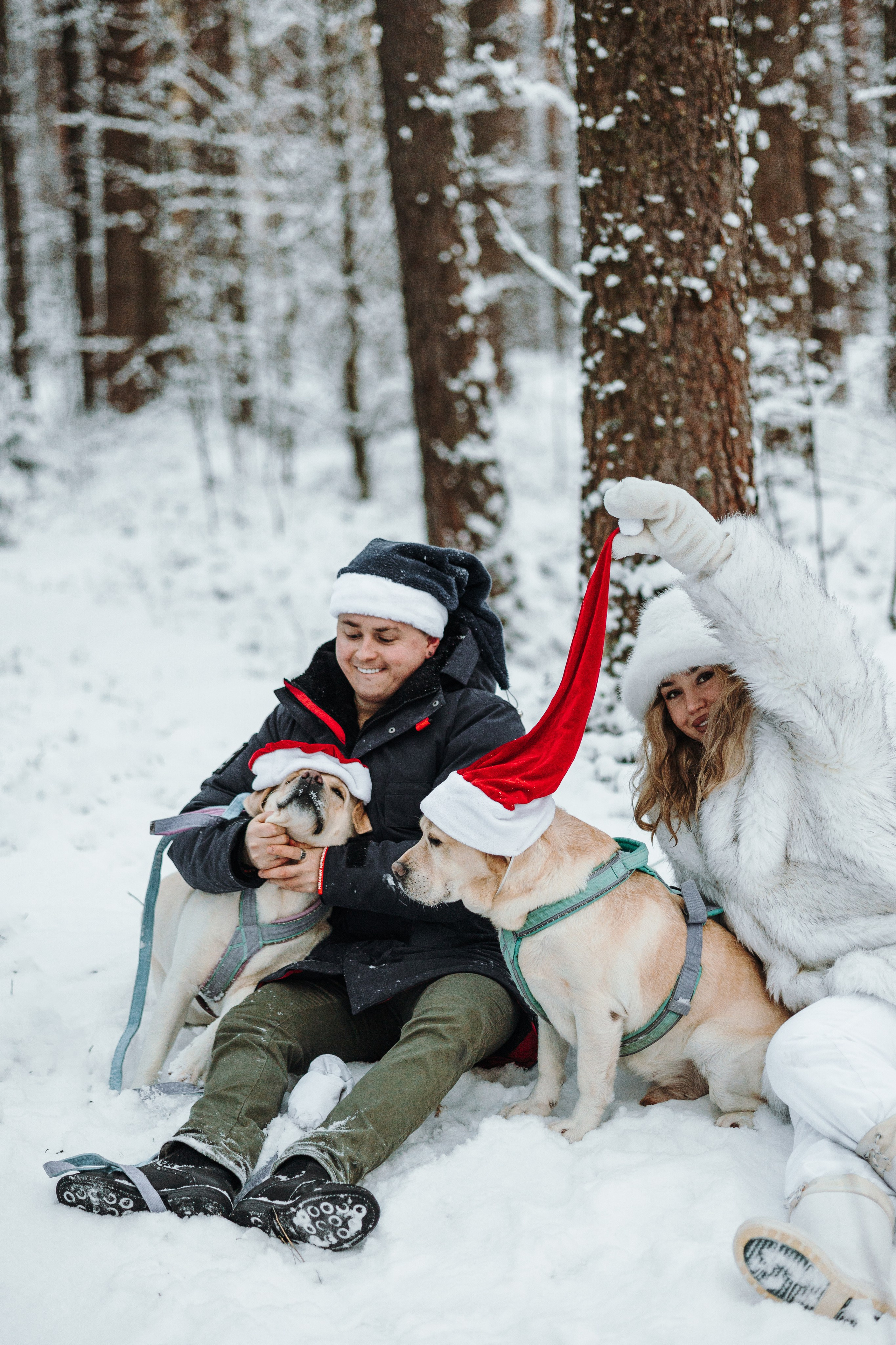 Ребята и их хвостатая семейка. Фотограф — Анималист | Санкт-Петербург