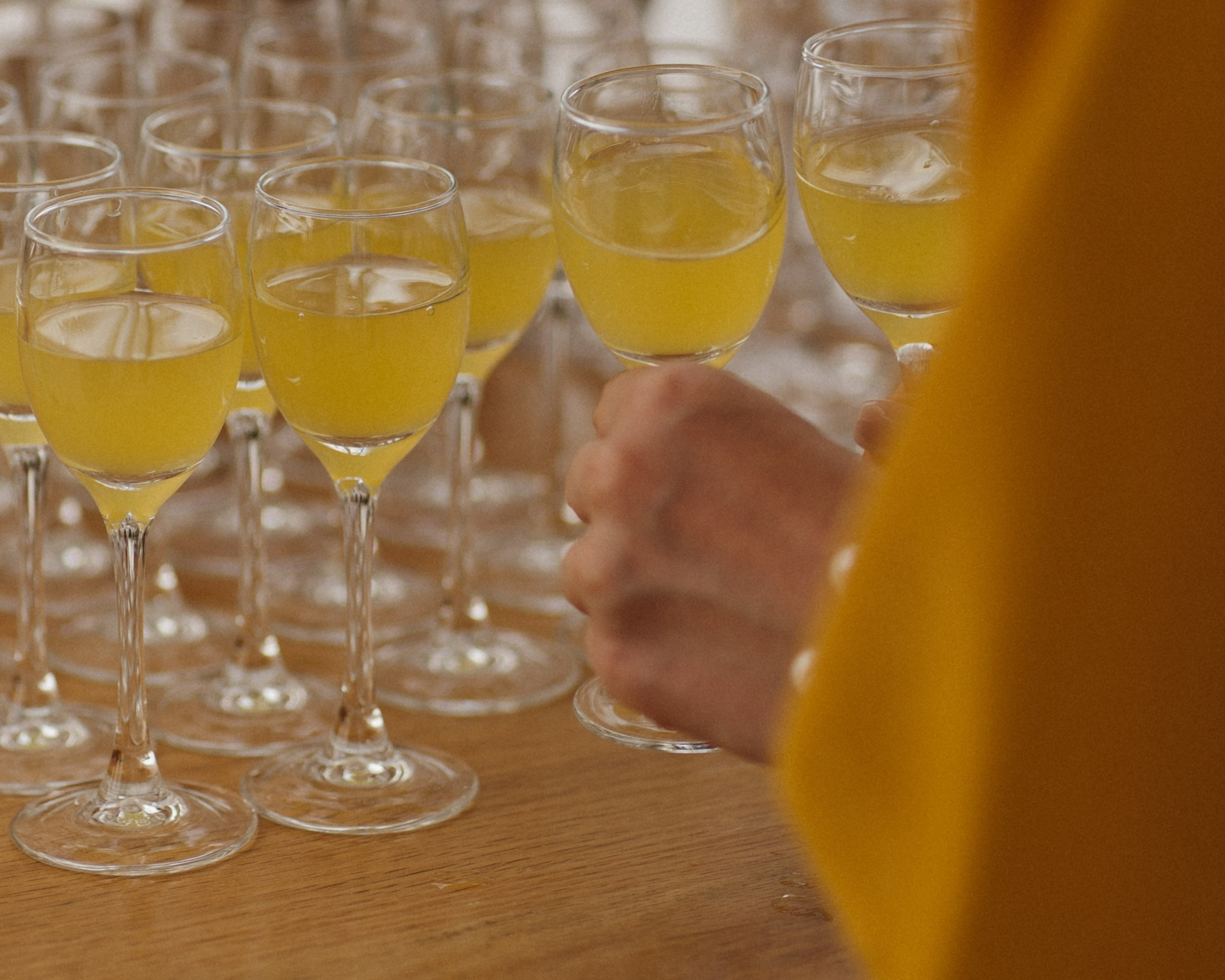 Italian party. Свадебный фотограф в Краснодаре и Сочи Винидиктова Екатерина