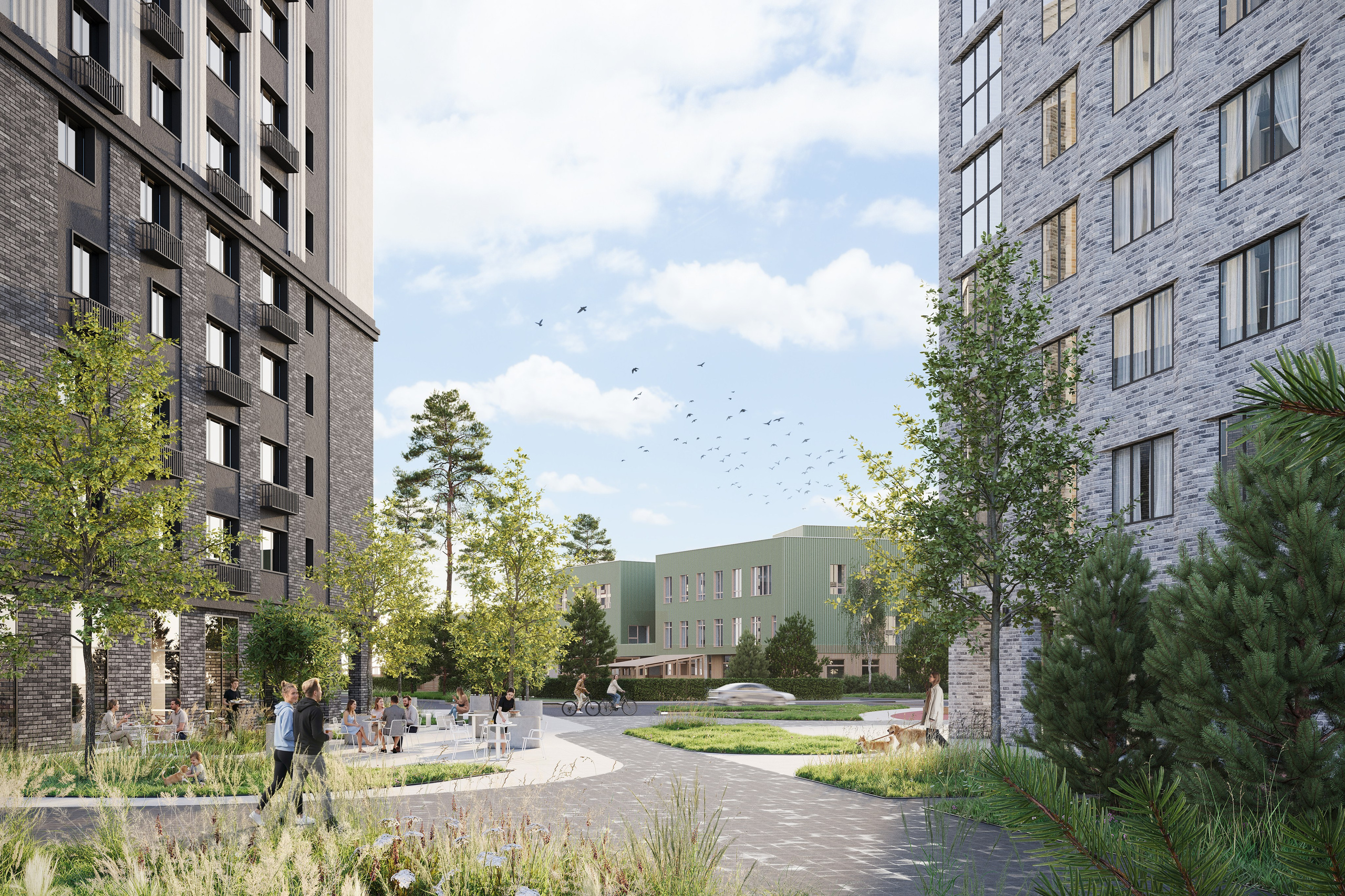 Cedar coast. Архитектурная 3д визуализация