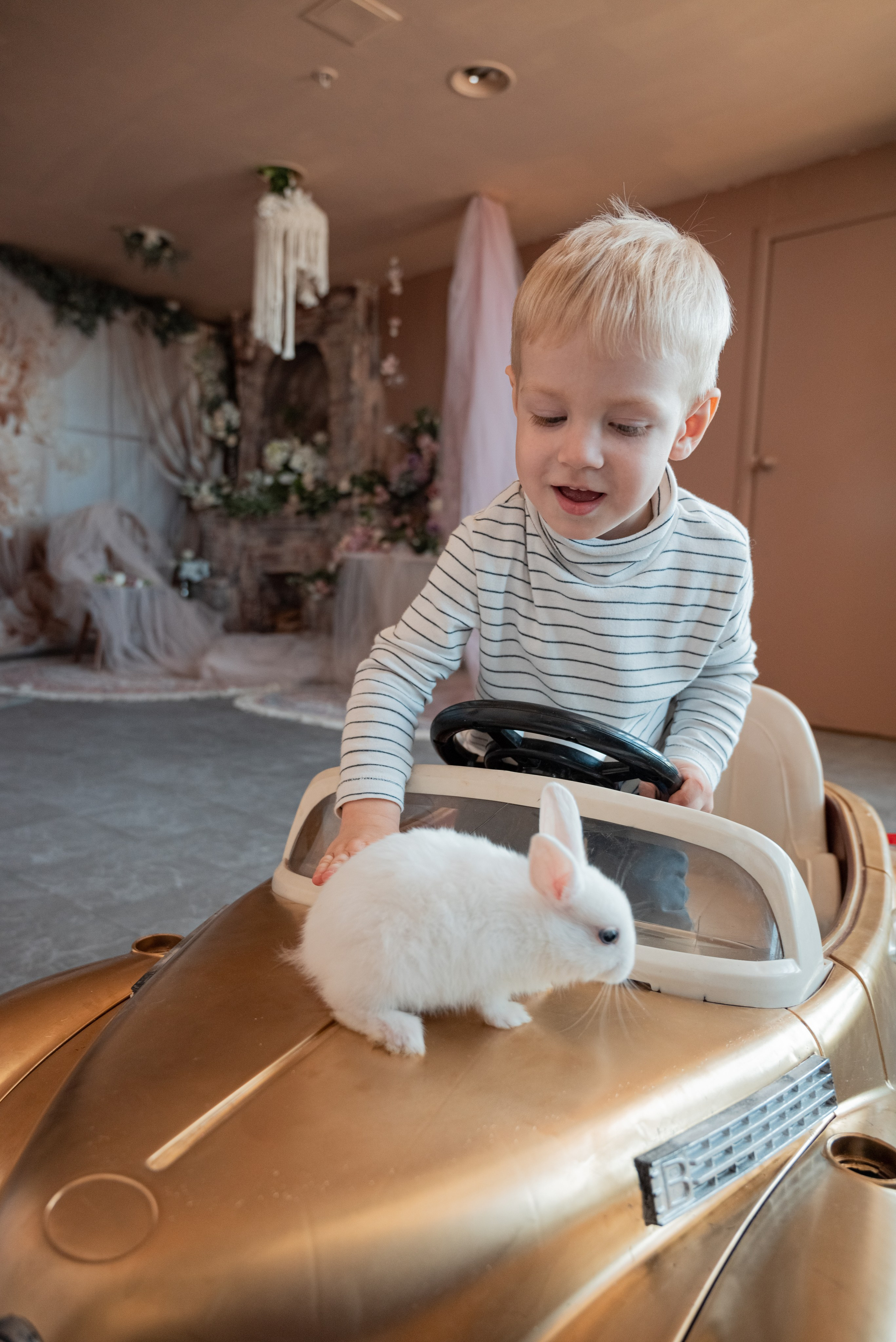 Студийные фотосессии. Свадебный и семейный фотограф Екатерина Пушан. Москва, Балашиха, Железнодорожный, Солнечногорск