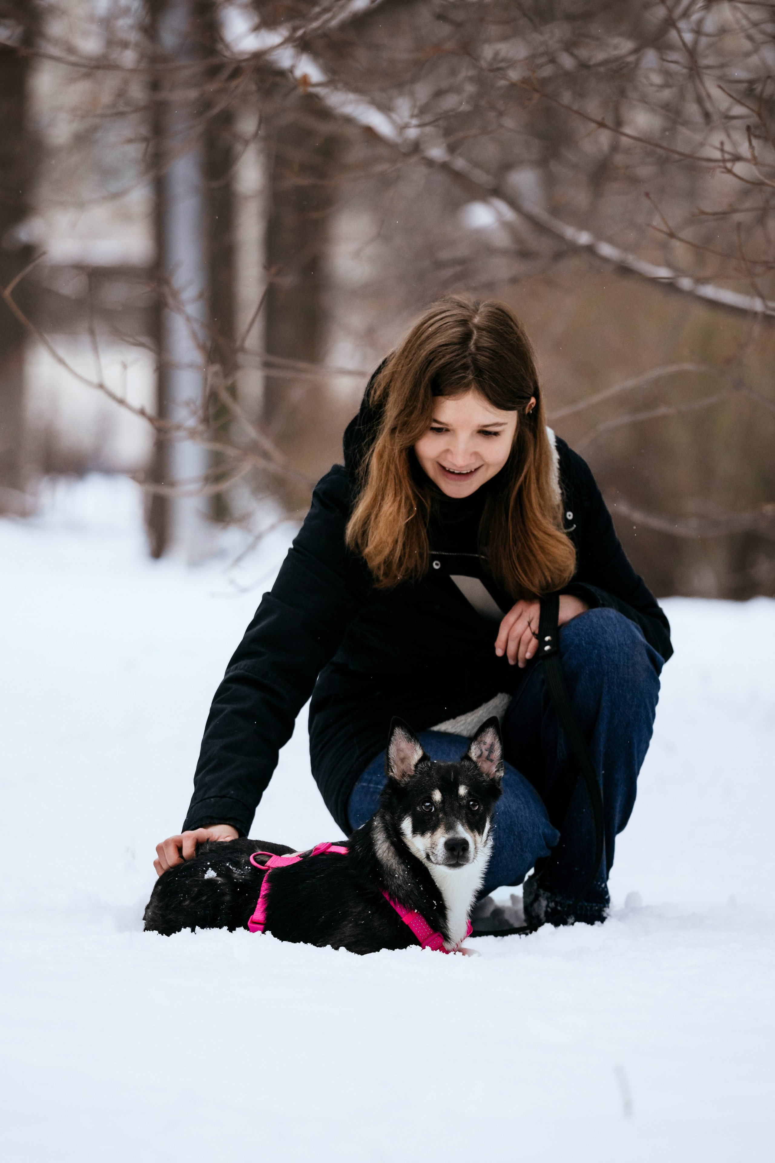 Собаки из приюта Дубовая роща зима. Фотограф-анималист Татьяна Степанова