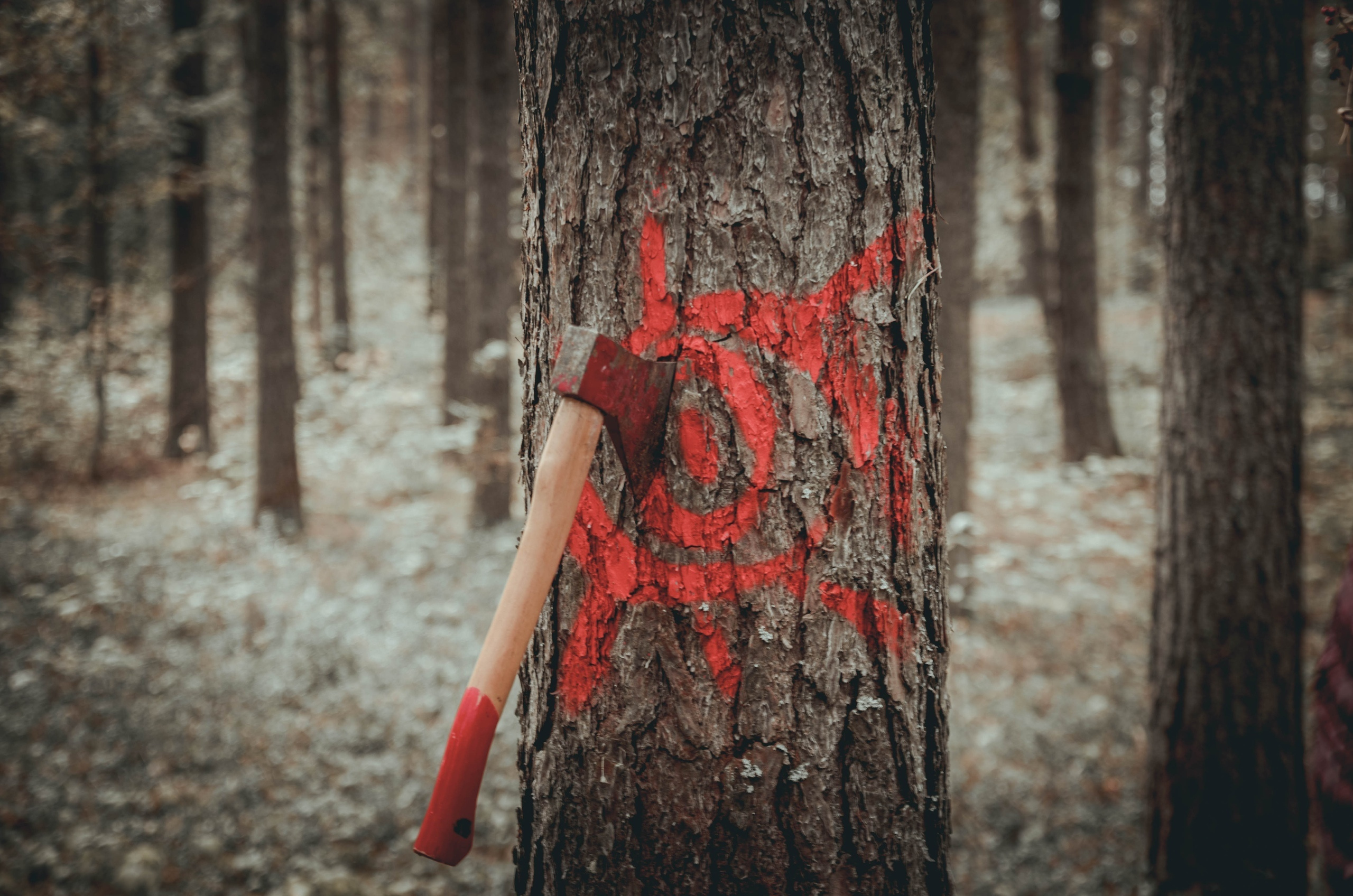 Роман. Фотограф Сердюковский Михаил