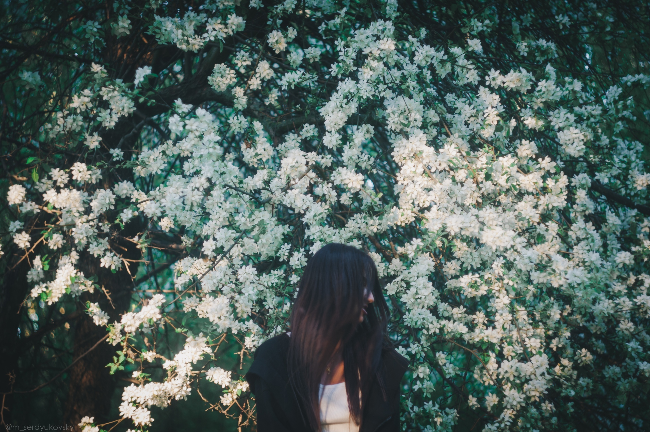 Даша. Фотограф Сердюковский Михаил