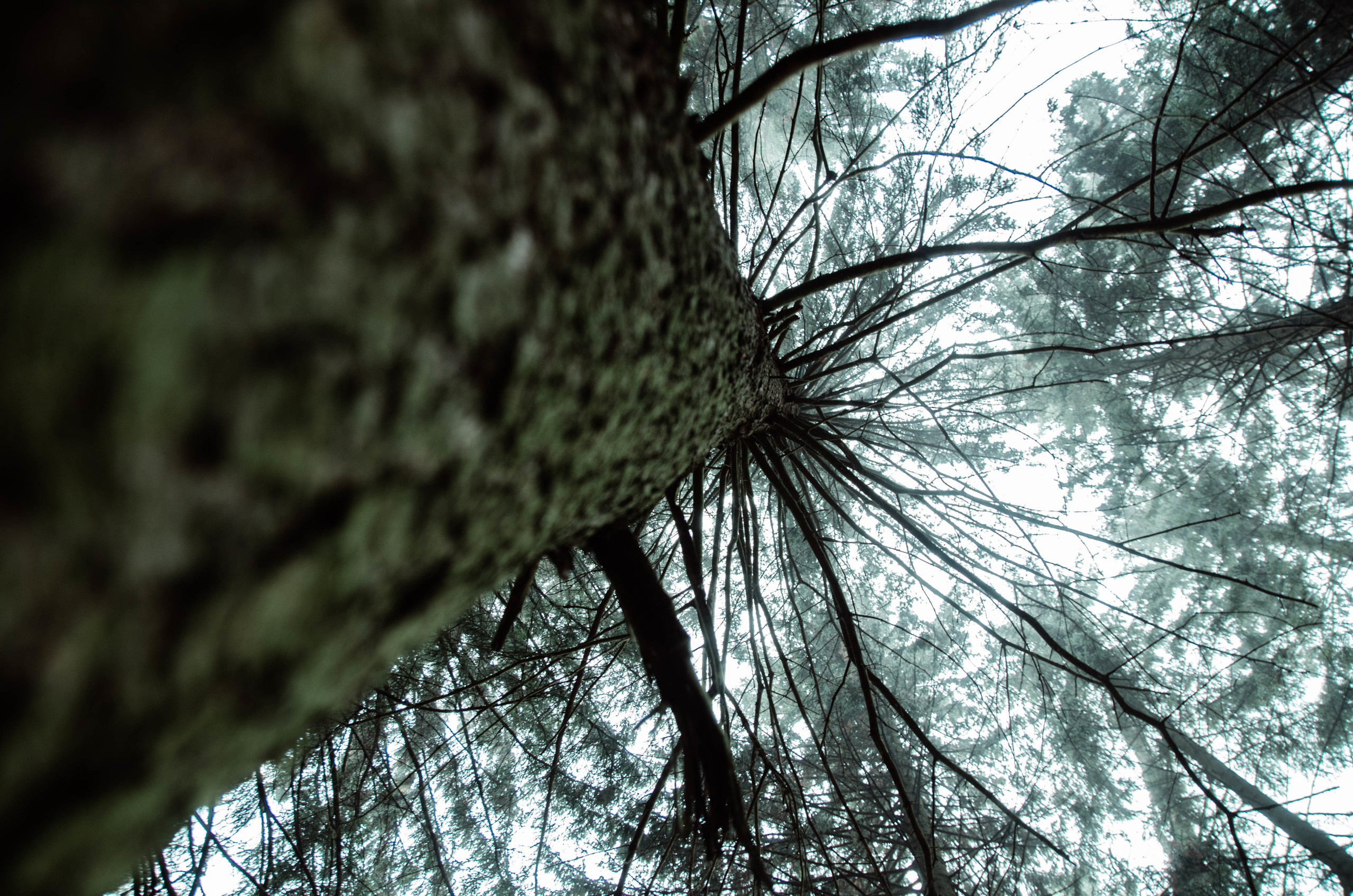 Уличная фотография. Фотограф Сердюковский Михаил