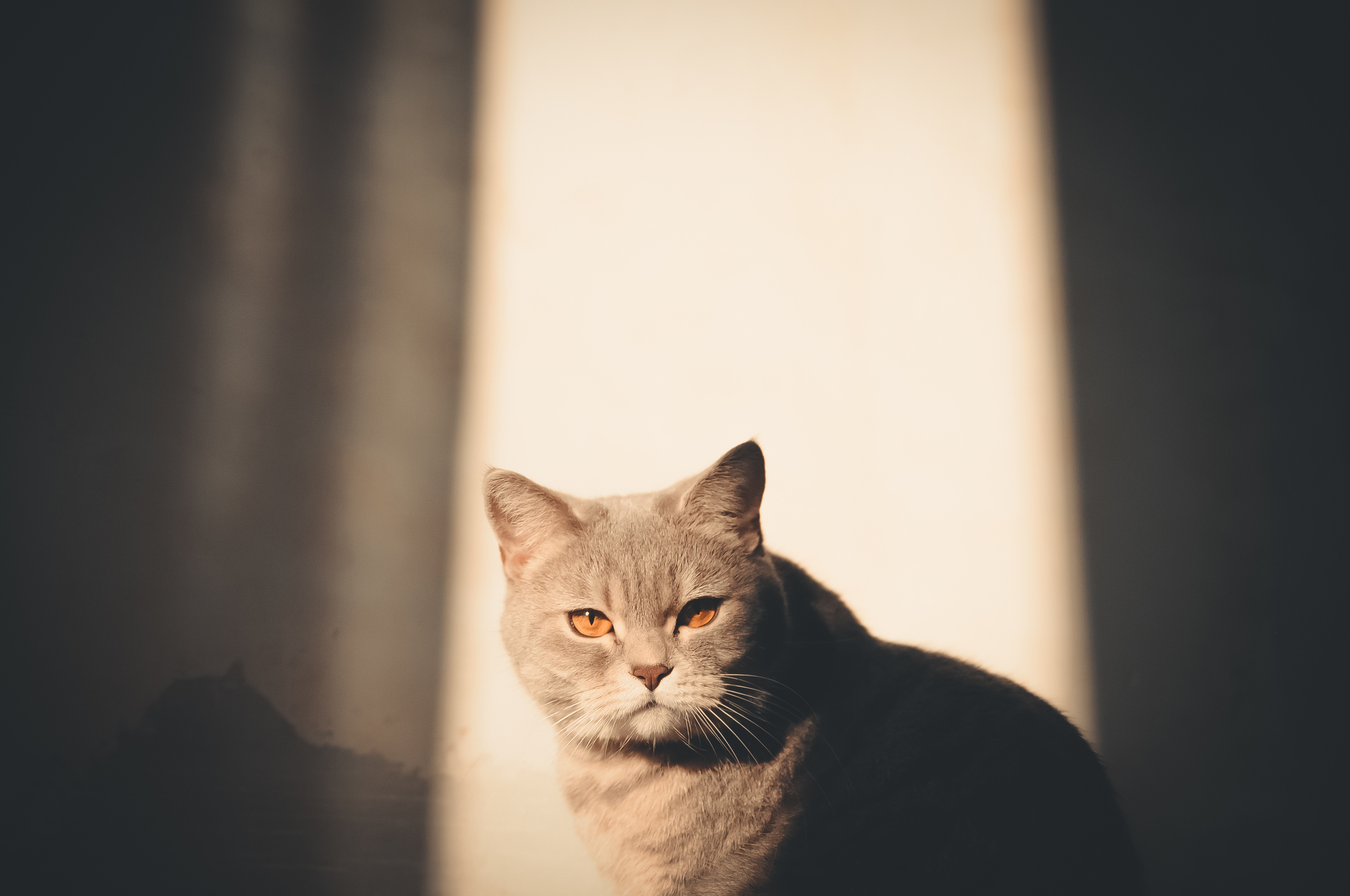 РАЗНОЕ. Фотограф Сердюковский Михаил