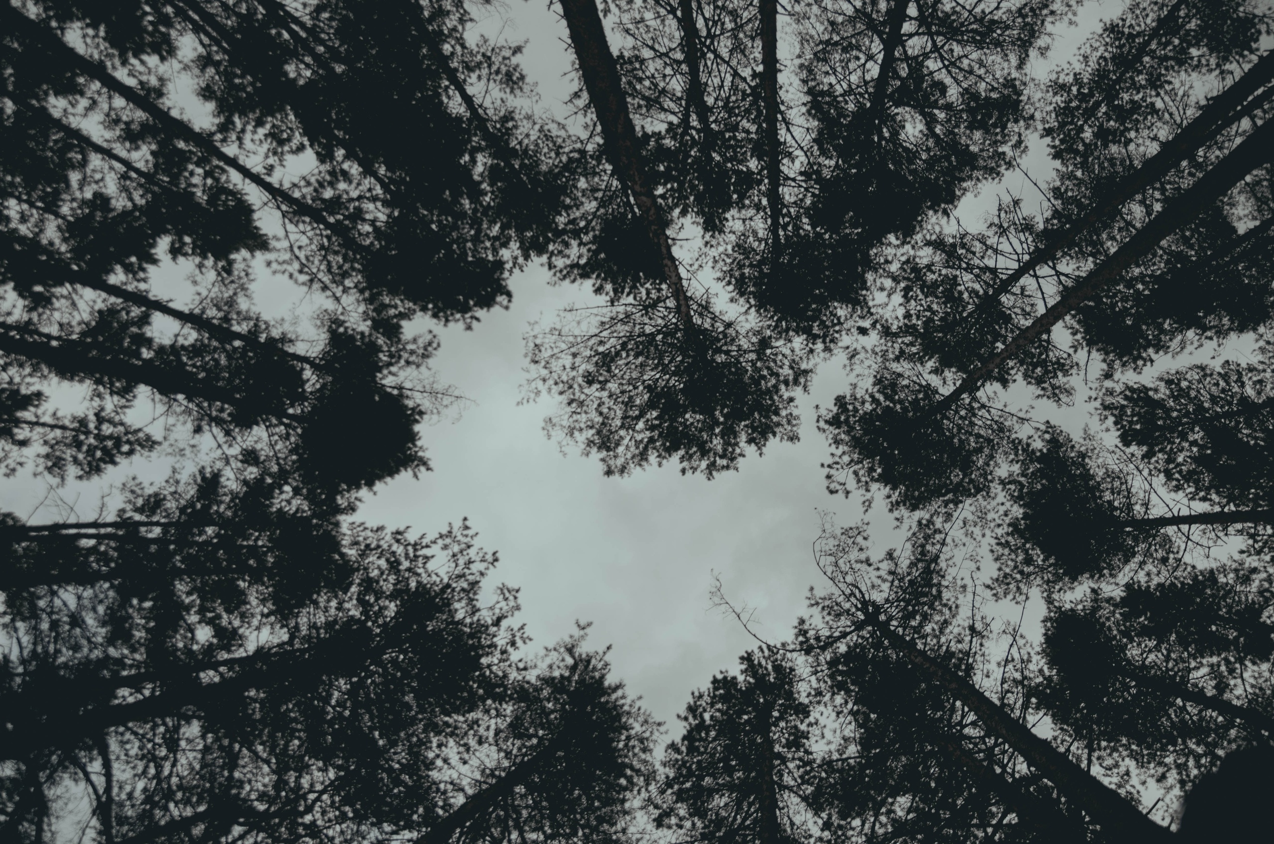 Роман. Фотограф Сердюковский Михаил