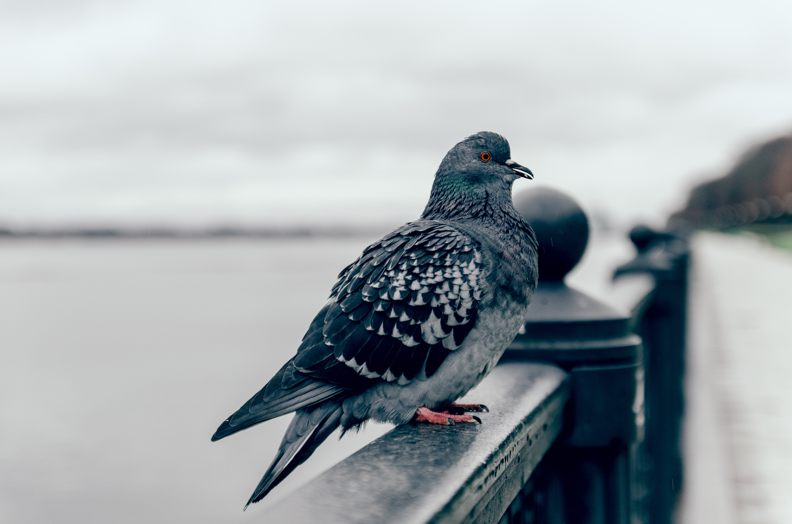 Юля. Фотограф Сердюковский Михаил