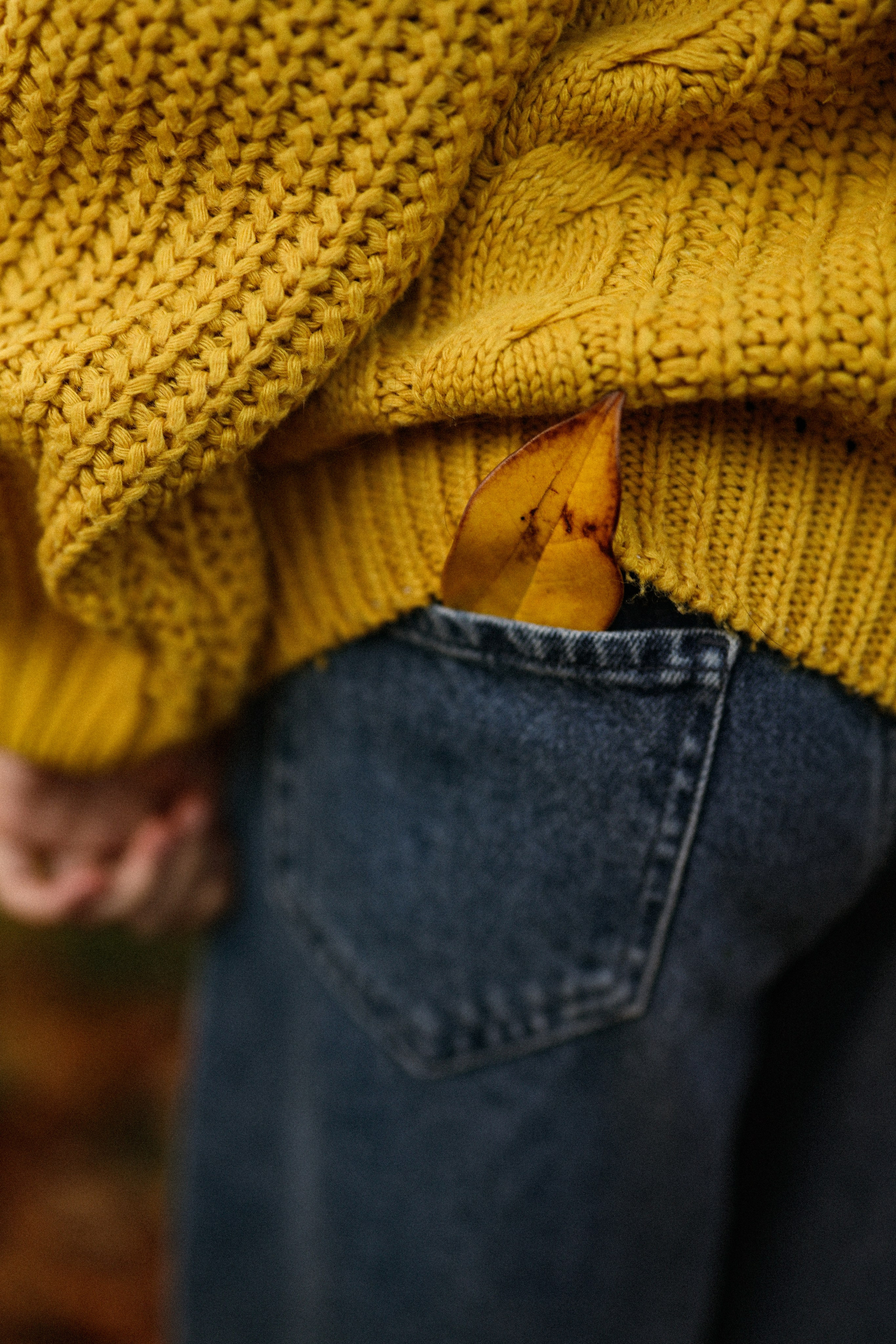 Осенняя фотосессия для Полины у древа патриарха в Сухуме. Свадебный и семейный фотограф в Абхазии Жанна Соснина