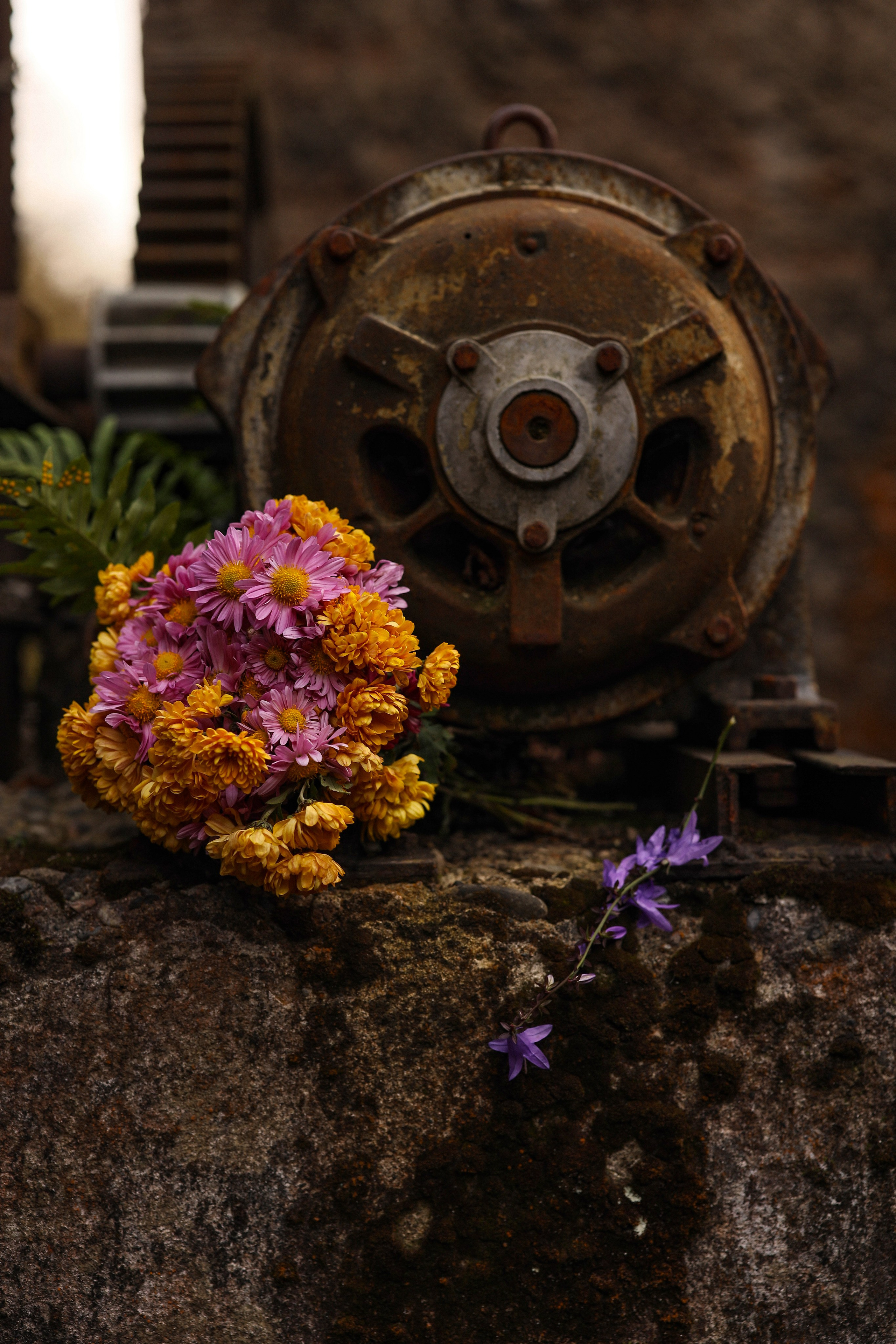 Love story у Беслетской ГЭС. Свадебный и семейный фотограф в Абхазии Жанна Соснина