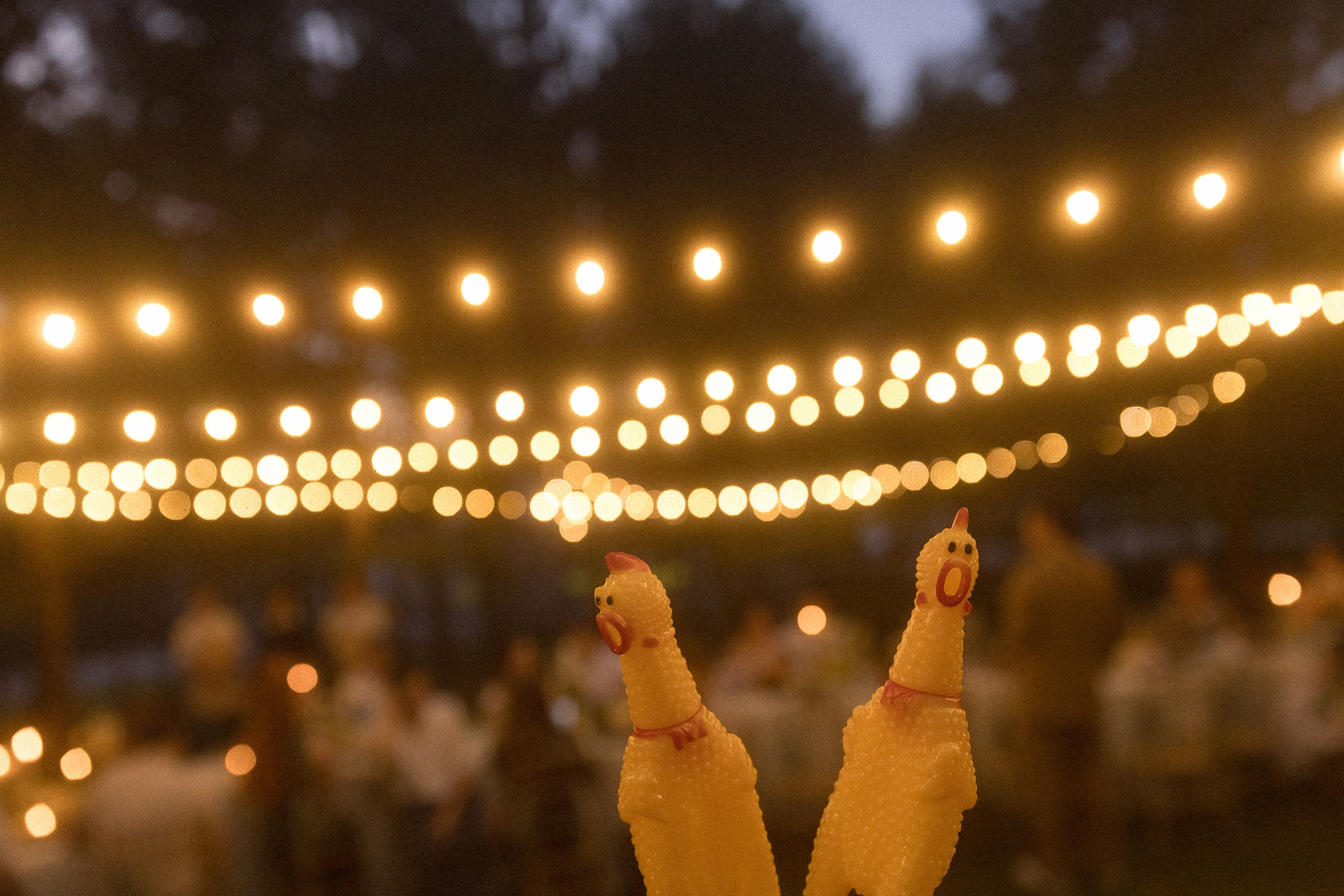 Wedding day  Иван и Сабина. Свадебный фотограф Колесников Антон