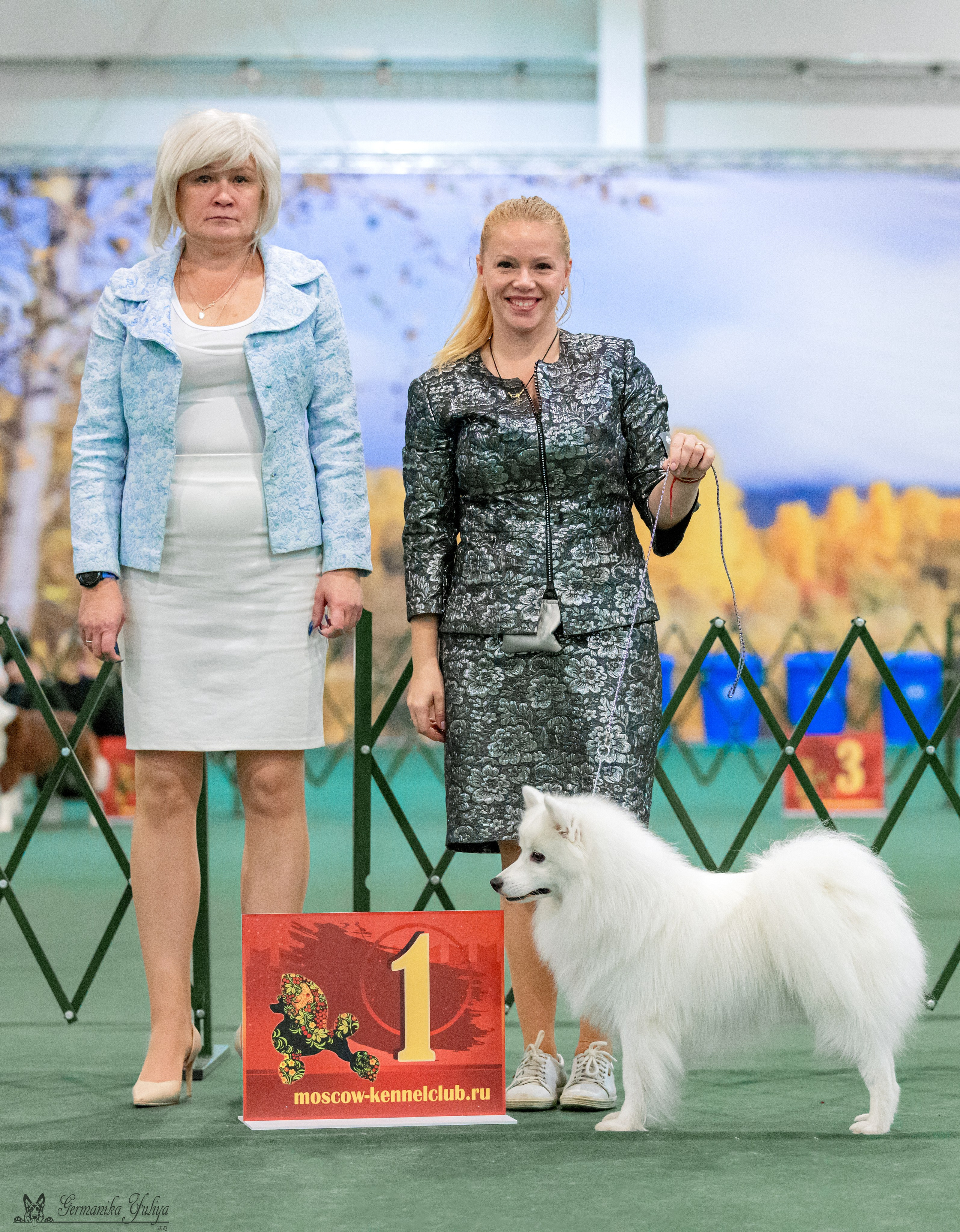 Сфера 29.10,Крокус 4.11,Сфера 12.11.2023. Фотограф-анималист Юлия Германика