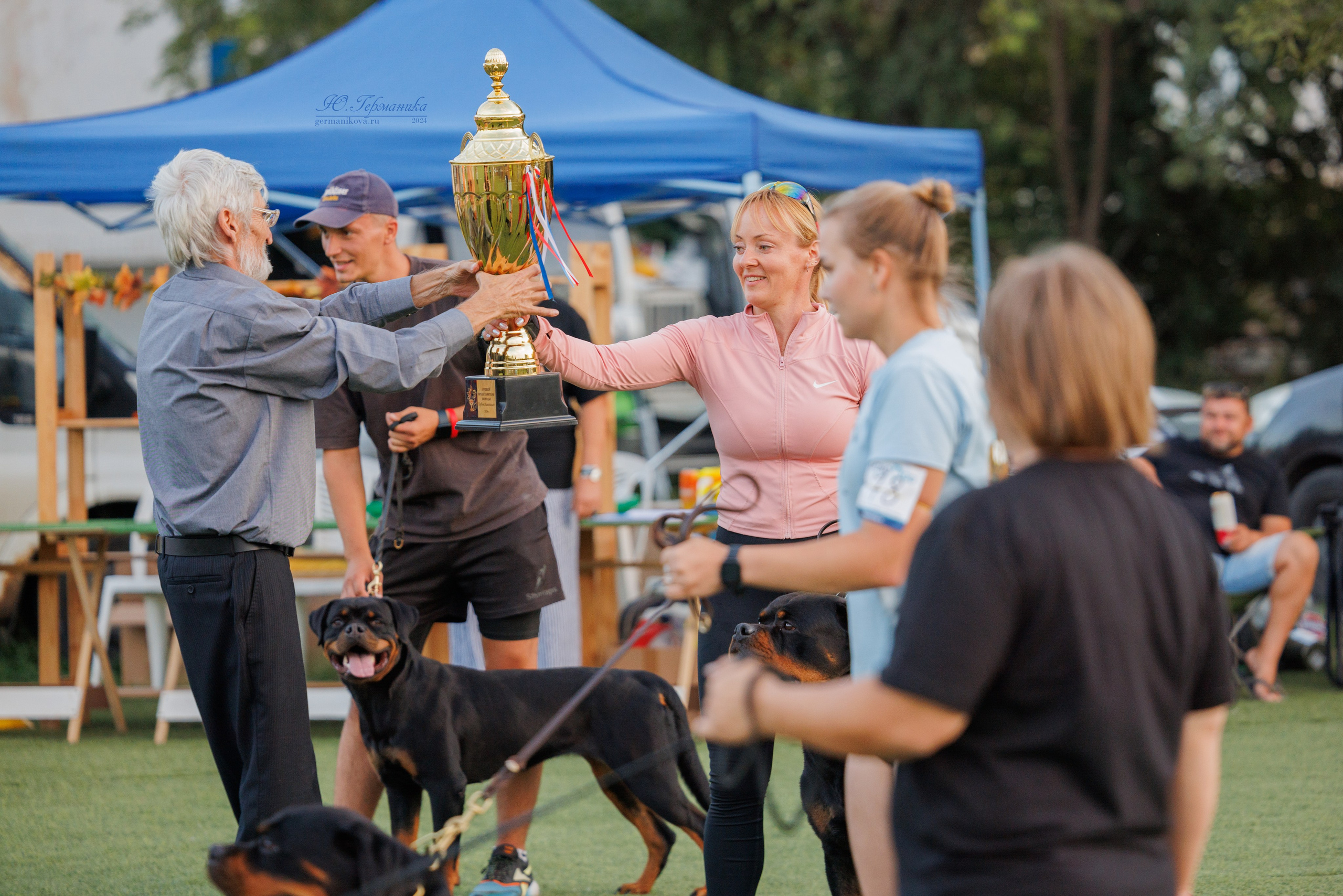 Анапа ротвейлеры 14-15.09.2024. Фотограф-анималист Юлия Германика
