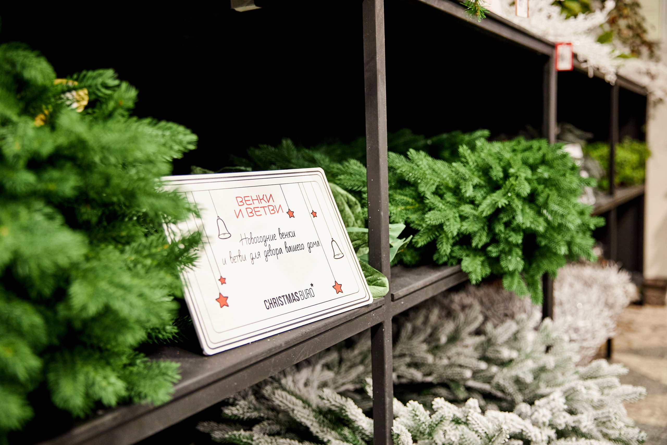 Christmas Buro. Фотограф Сергей Склемин