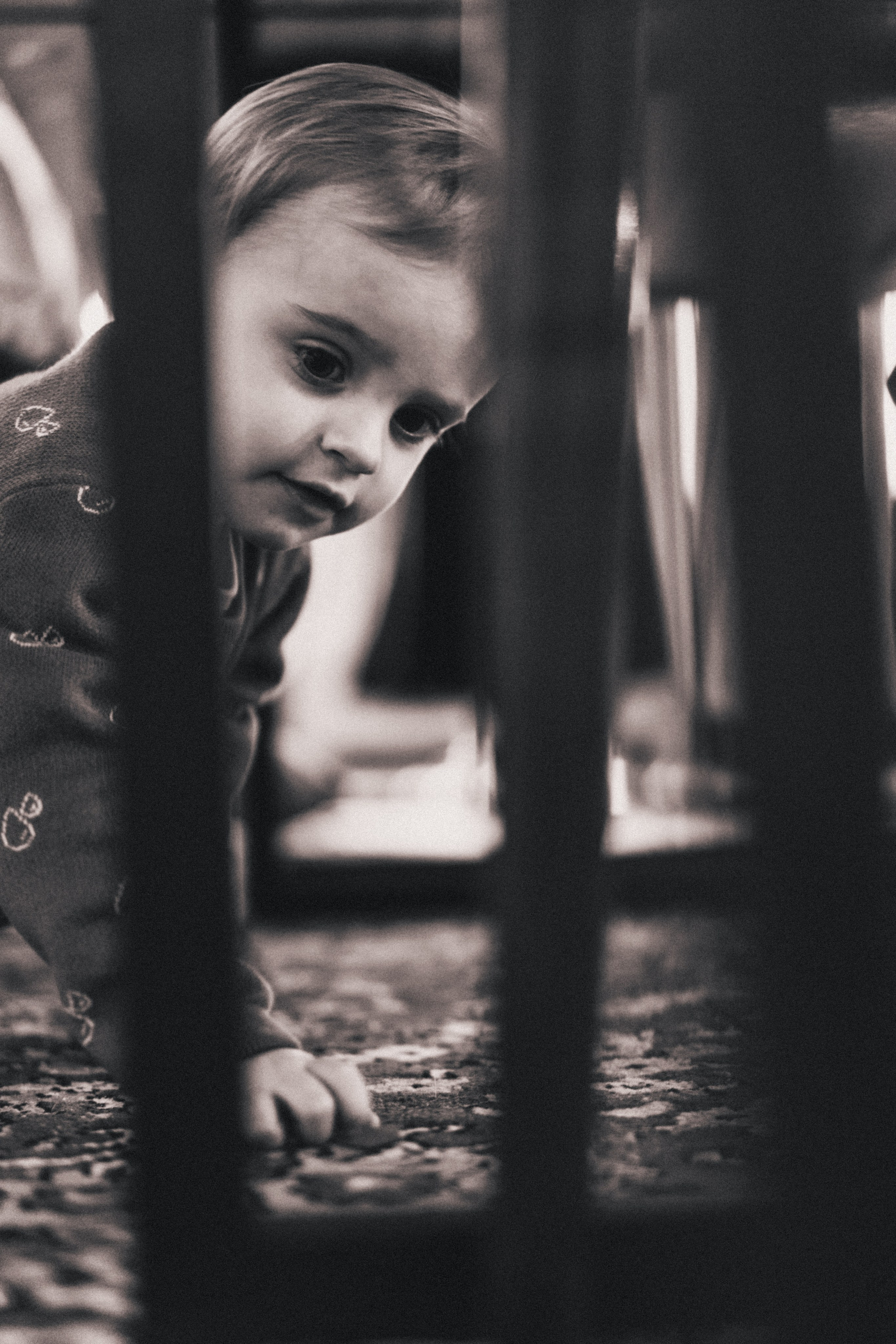 OCHEN' & Mozart for Kids — Королевский бал. Семейный и детский фотограф и видеограф в Москве, Серпухове и Тарусе Валерия Сорокина