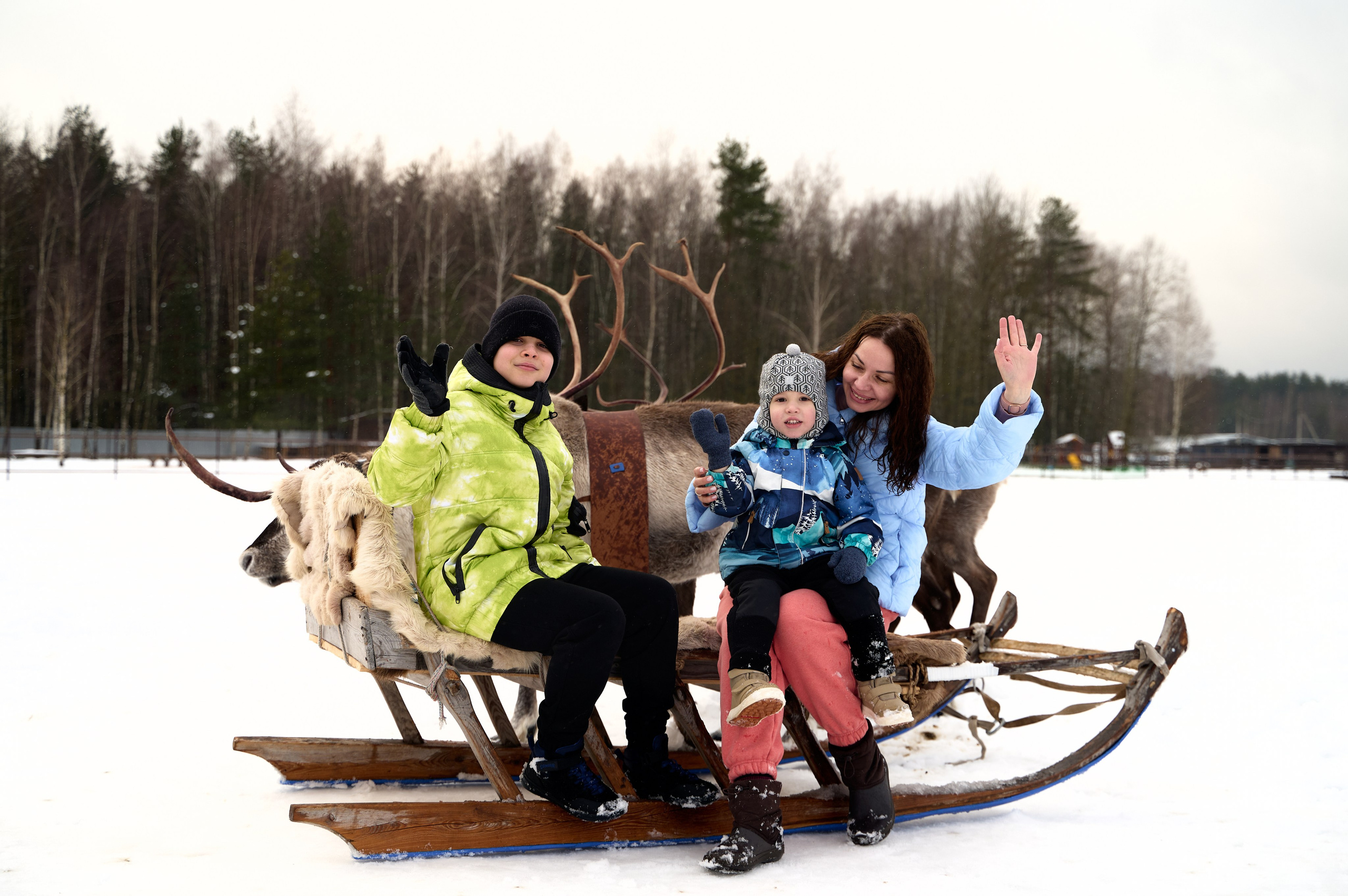 2023.12.30 Ирина Богдан Адам. Фотограф Егорьевск Коломна Воскресенск