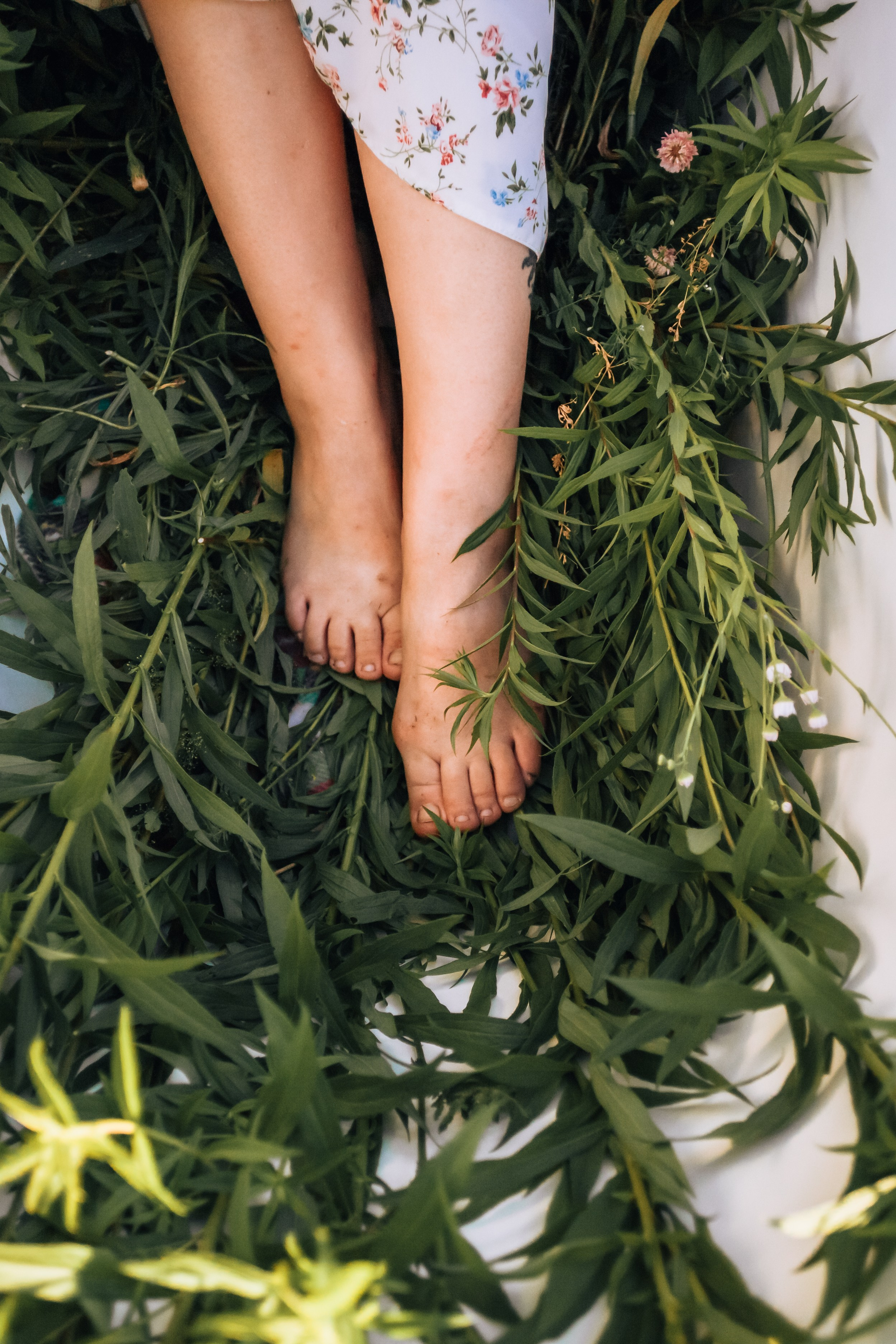 Ванна в поле. Фотограф-анималист Татьяна Степанова