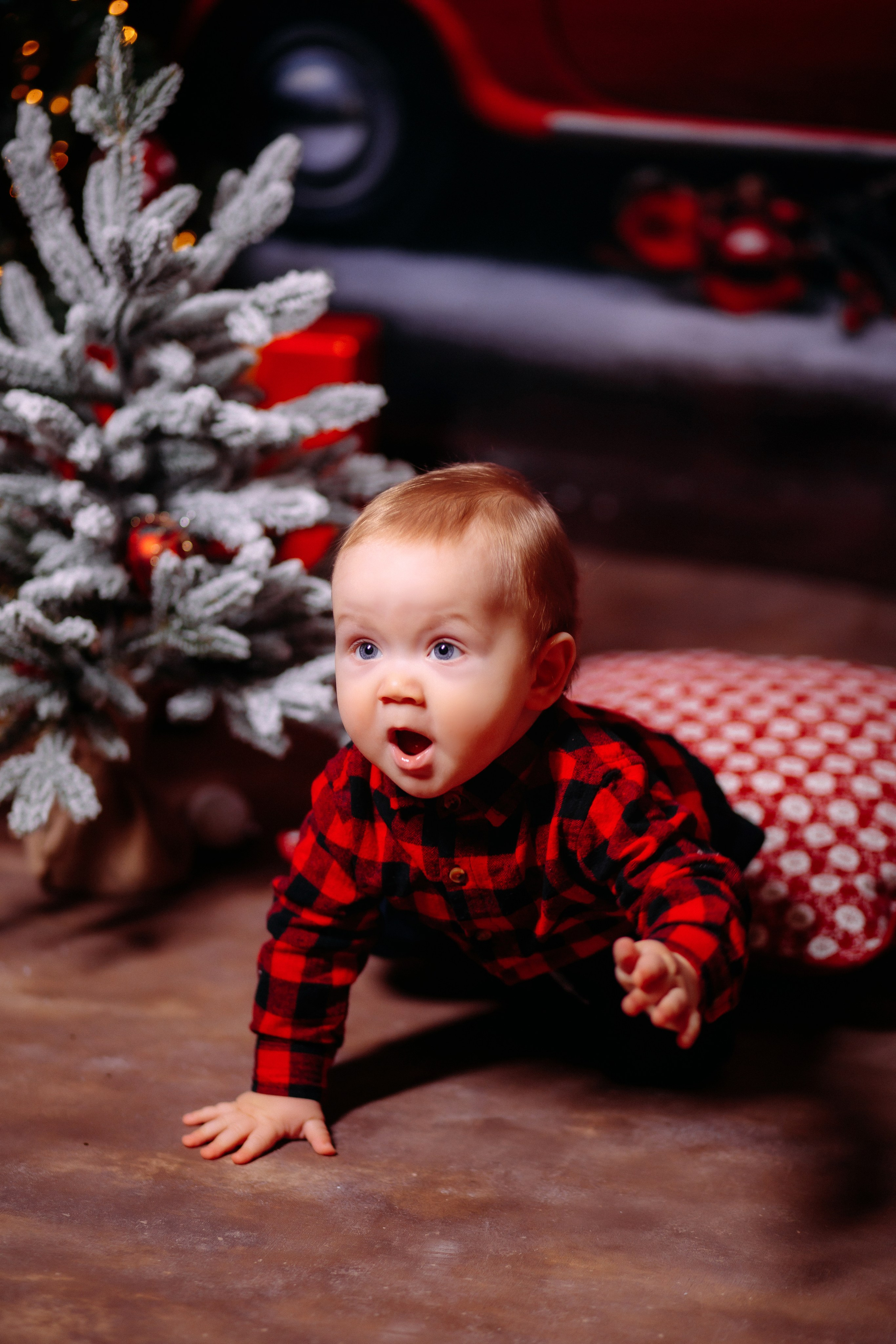 НОВЫЙ 2024 ГОД. Женский и семейный фотограф Елена Петрова