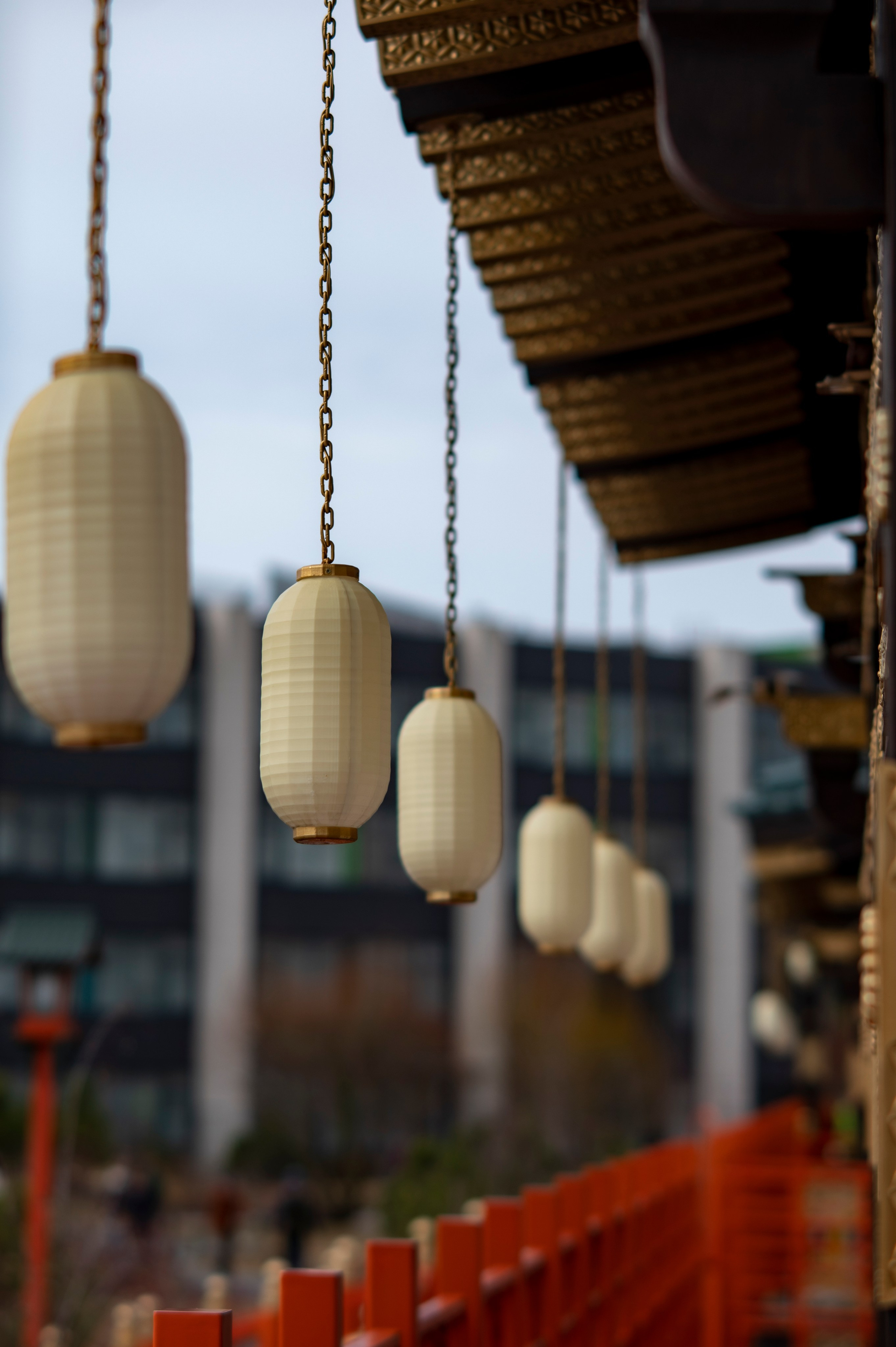 Фотопрогулка апрель 2022. Фотограф Роман Адлер