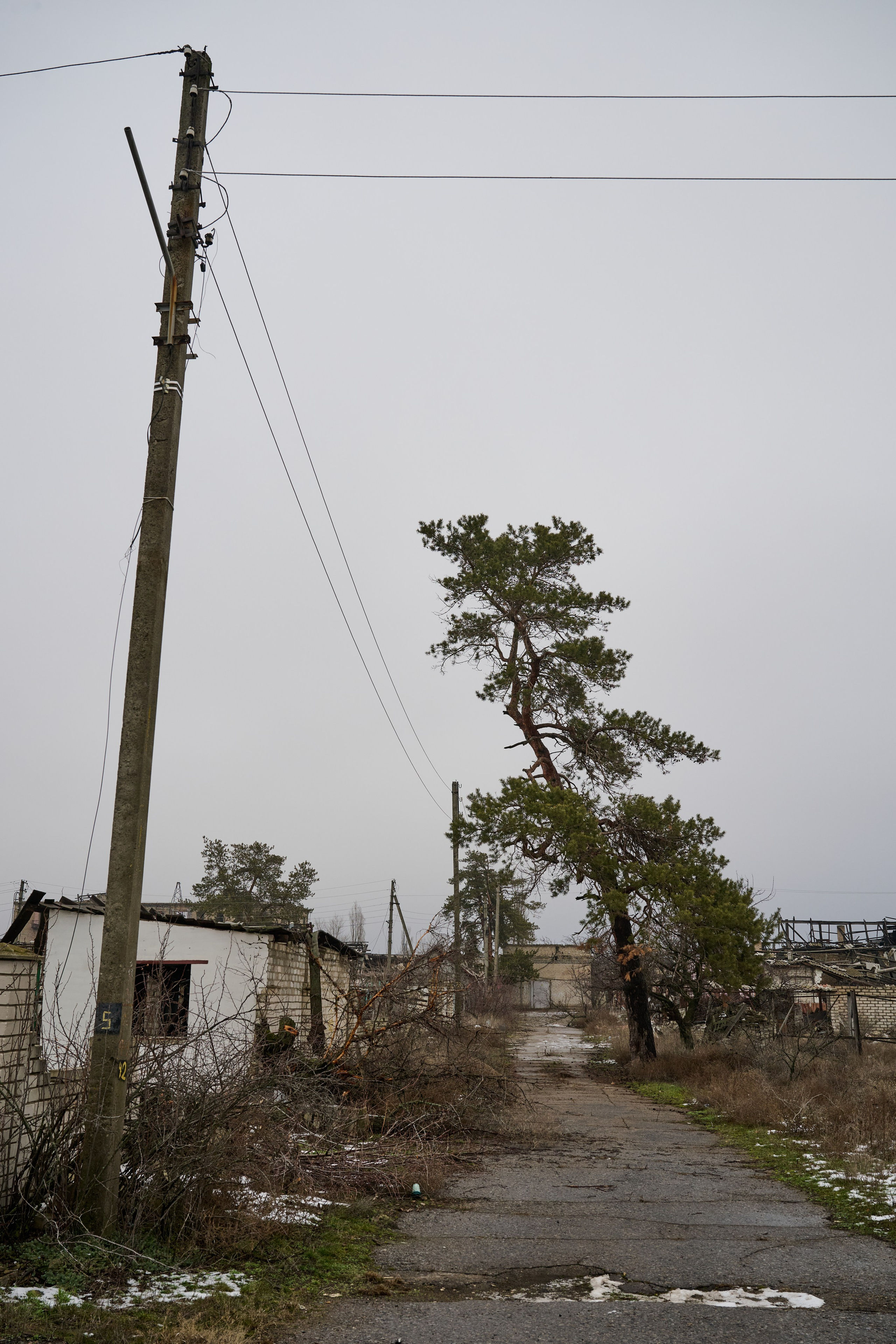 Рубежное. Январь 2026. Фотограф Роман Адлер