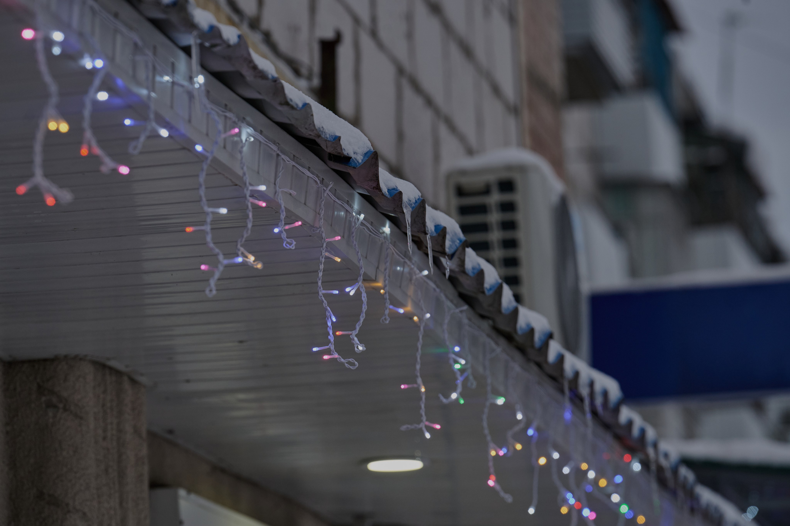 Рубежное. Январь 2026. Фотограф Роман Адлер