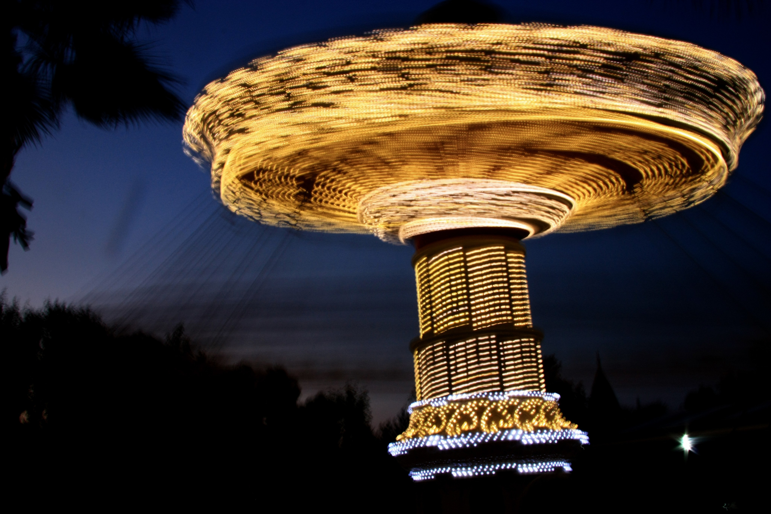 Первые кадры. Сочи — парк. Фотограф Роман Адлер