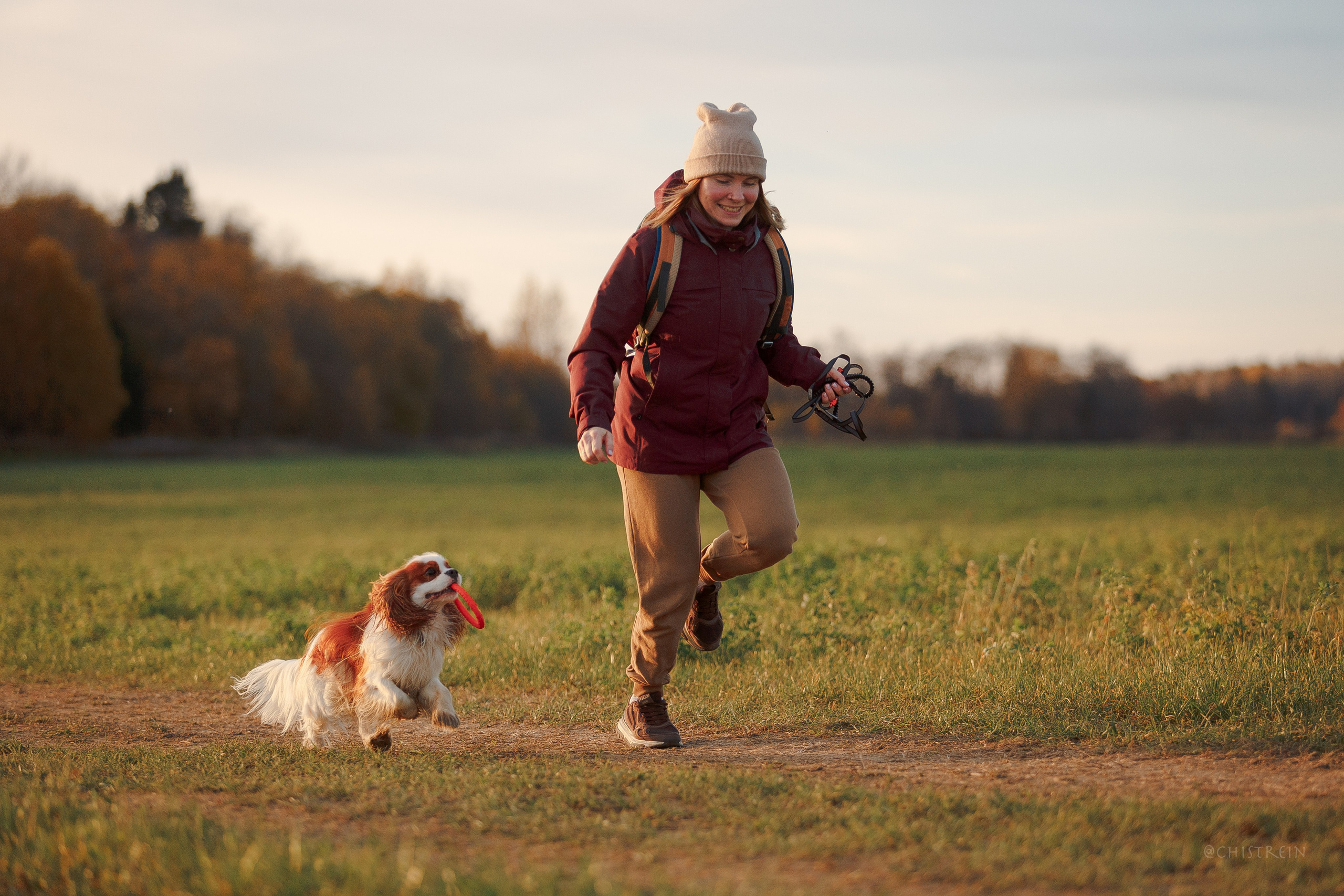 Октябрьский закат в полях. Алина и Лео. Фотограф-анималист Наталия Чистюхина в г. Сосновый Бор и ЛО