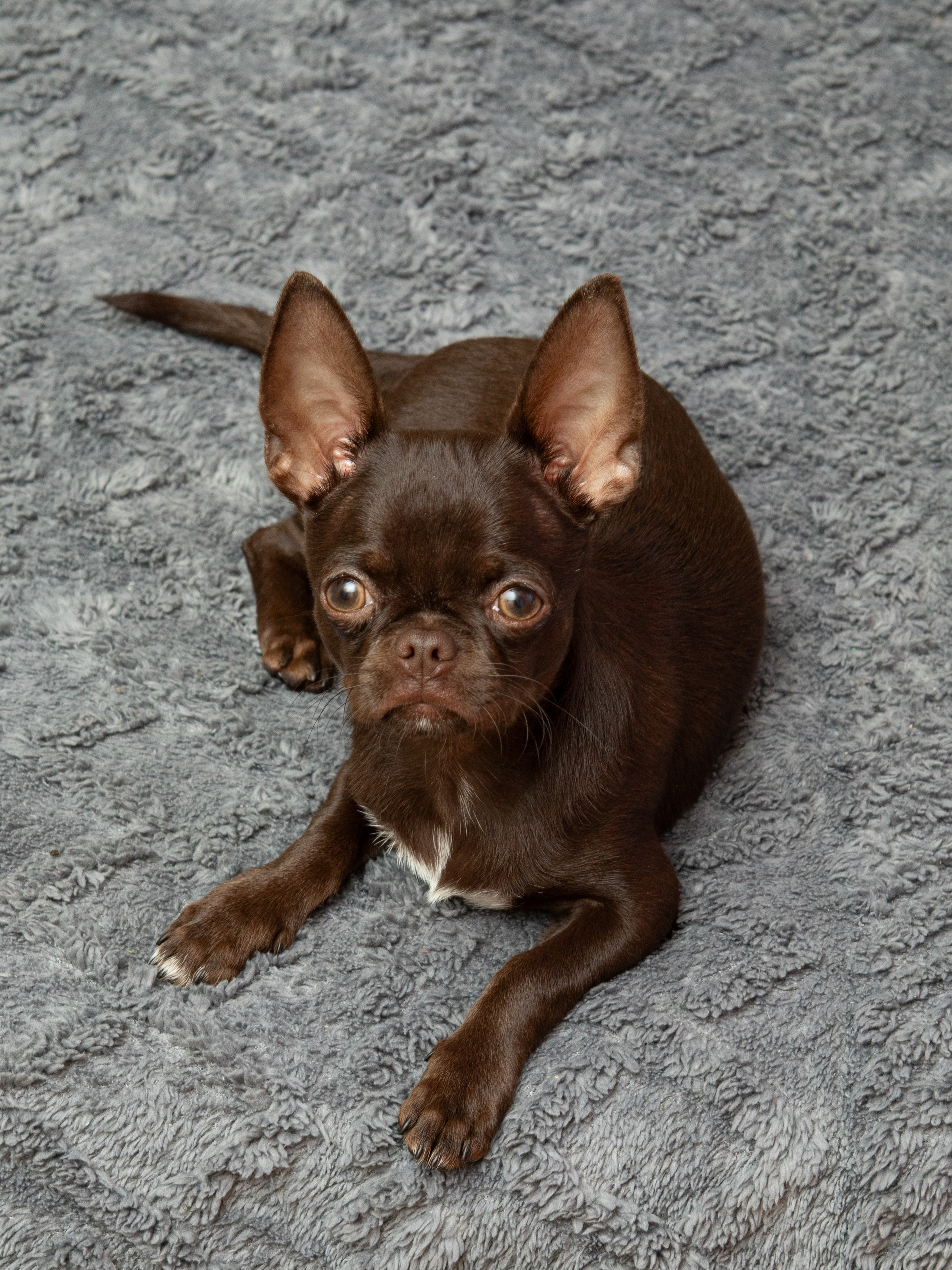 Серии. Предметный и семейный фотограф в Санкт-Петербурге Катерина Стеклова