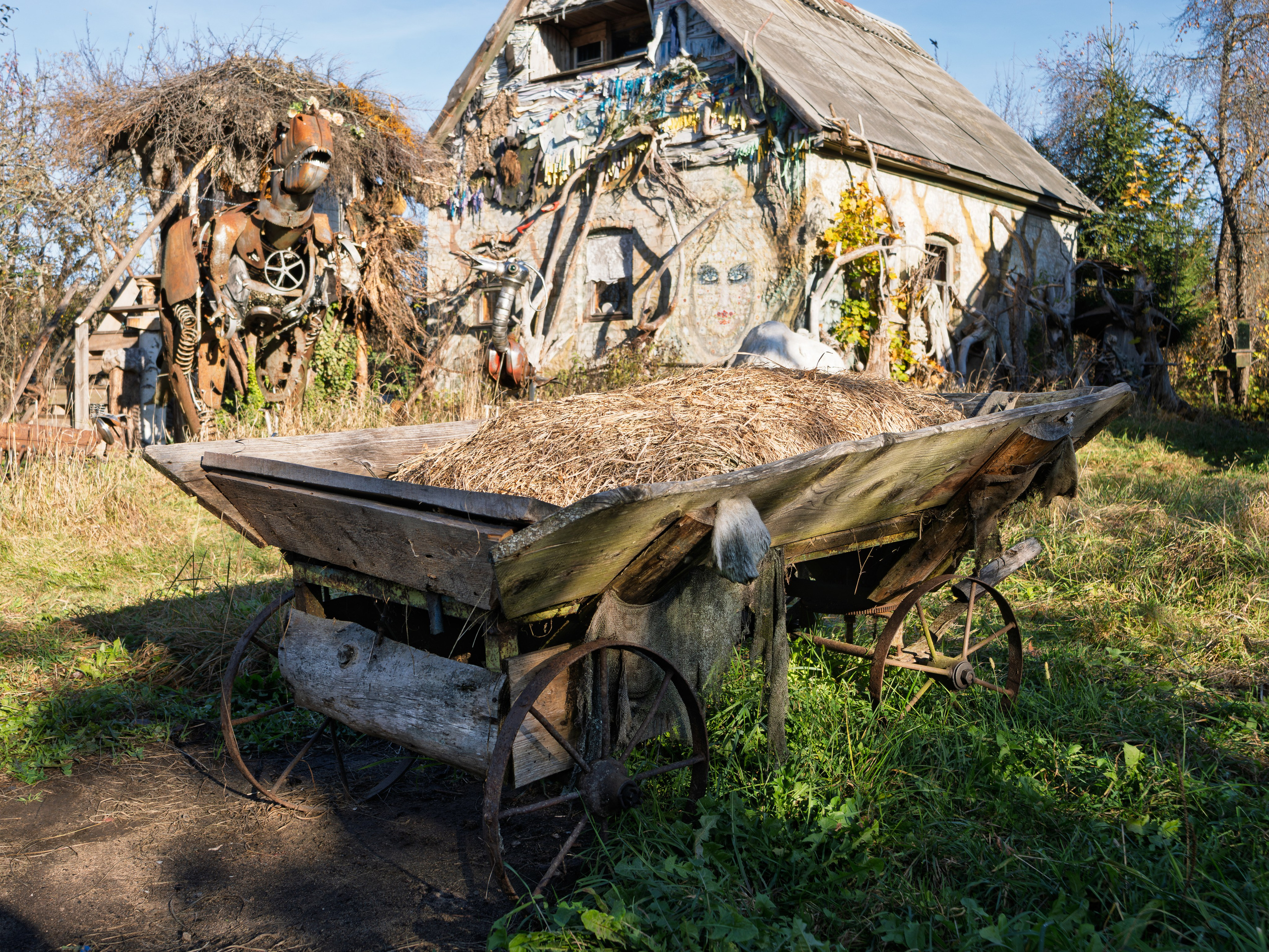 Голубые озера, Псковская область. Октябрь 2024. Фотограф Никифоров-Гордеев Сергей. Москва и МО
