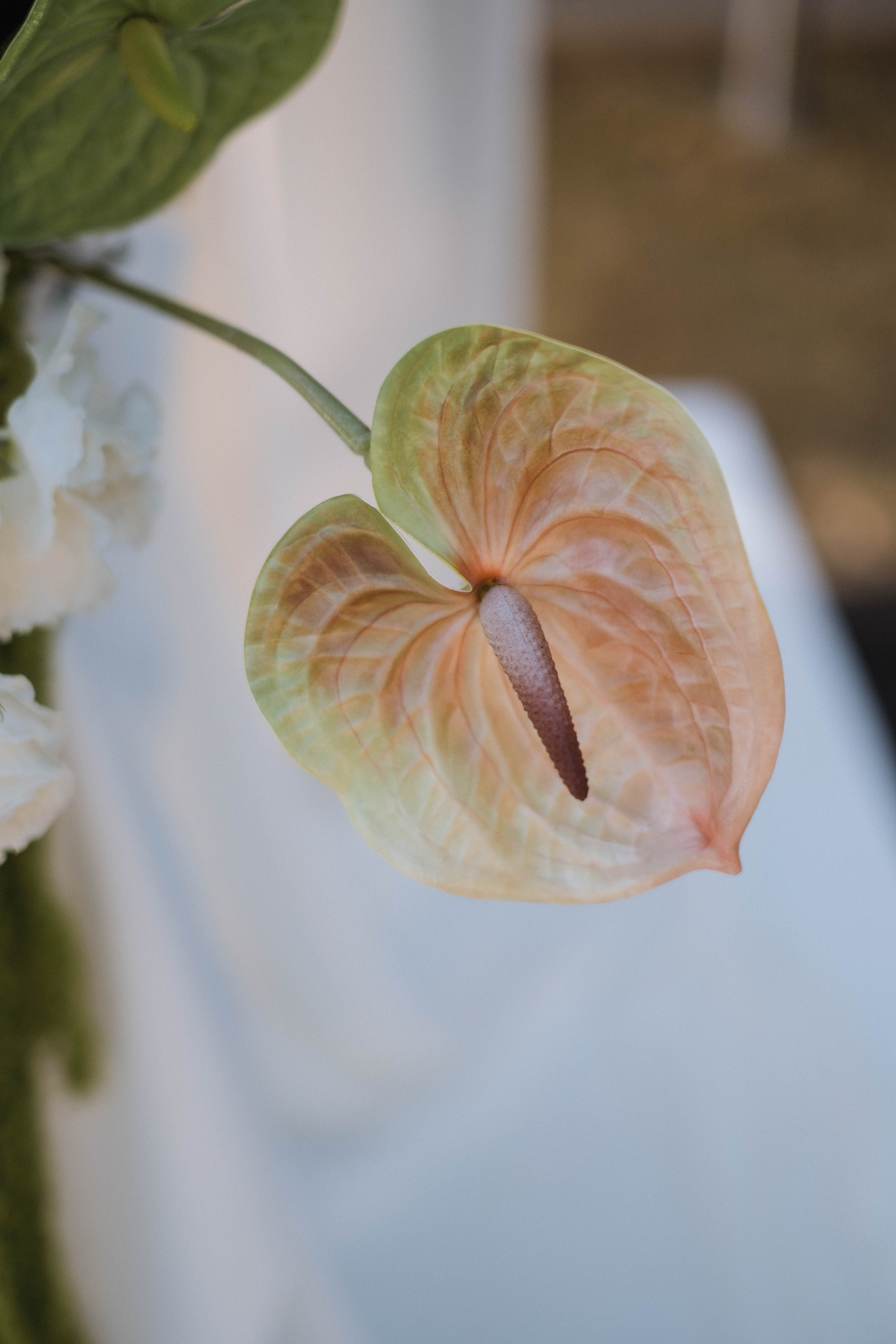 WEDDING DAY Валерия и Владислав. Свадебный и семейный фотограф г. Волгоград Биленко Ангелина