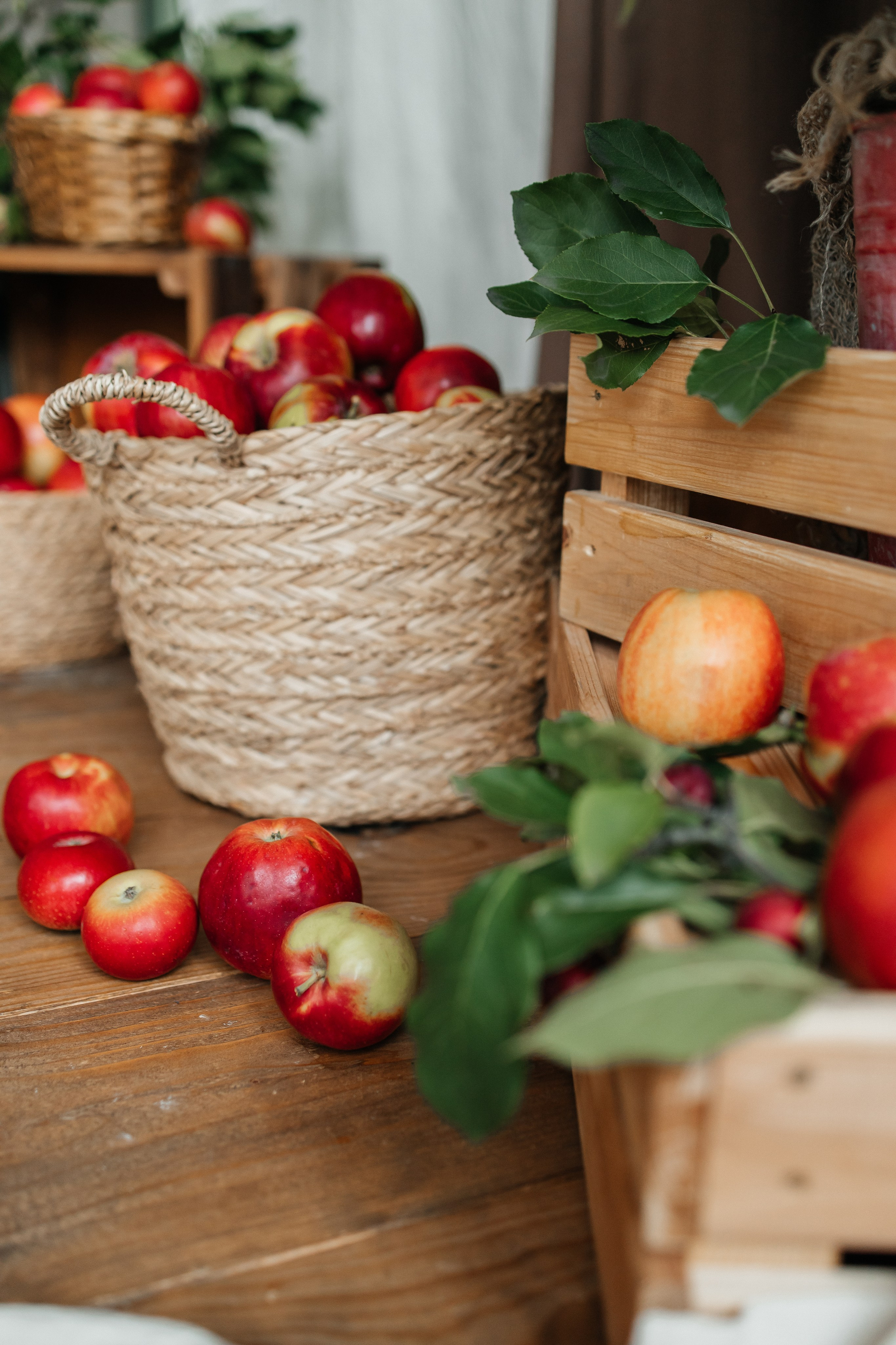 Осенний с кроликом🐇. First-foto.ru