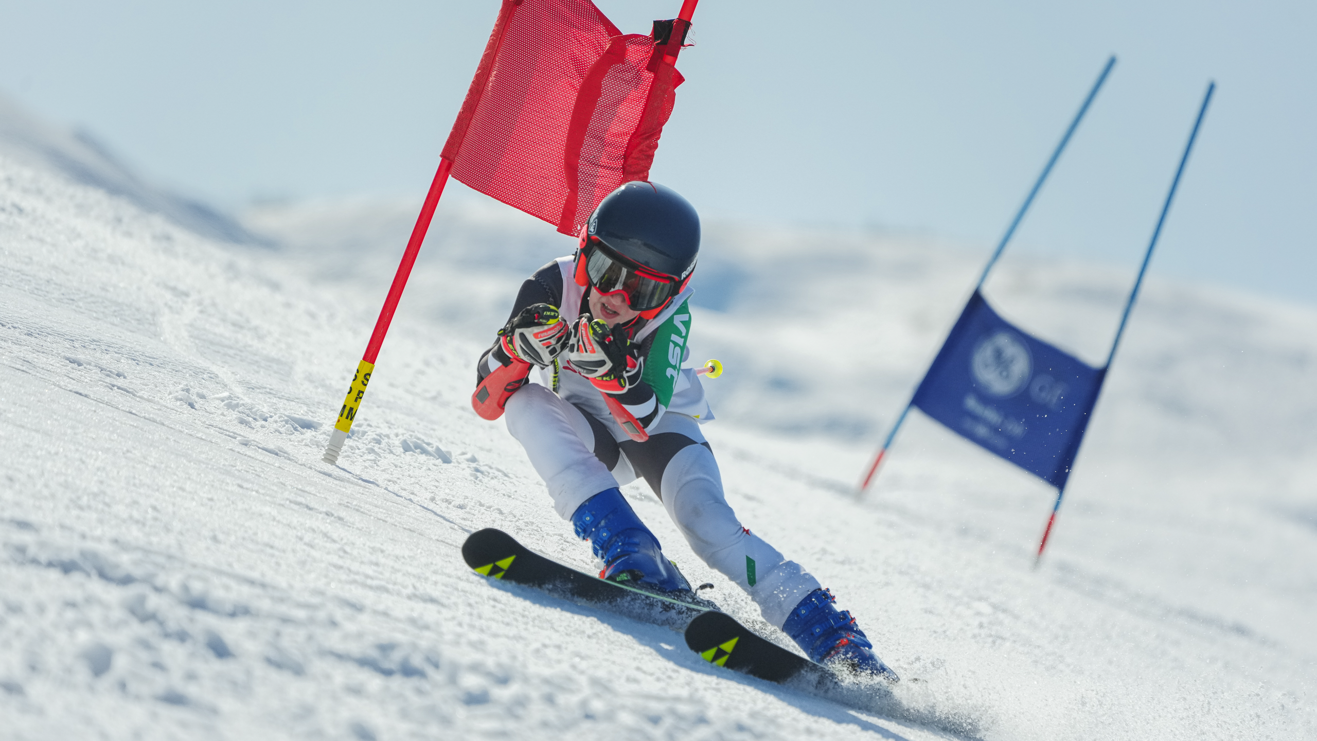 GS (Giant Slalom) - Слалом-гигант. Соревнования по горнолыжному спорту. Московская область, Шуколово