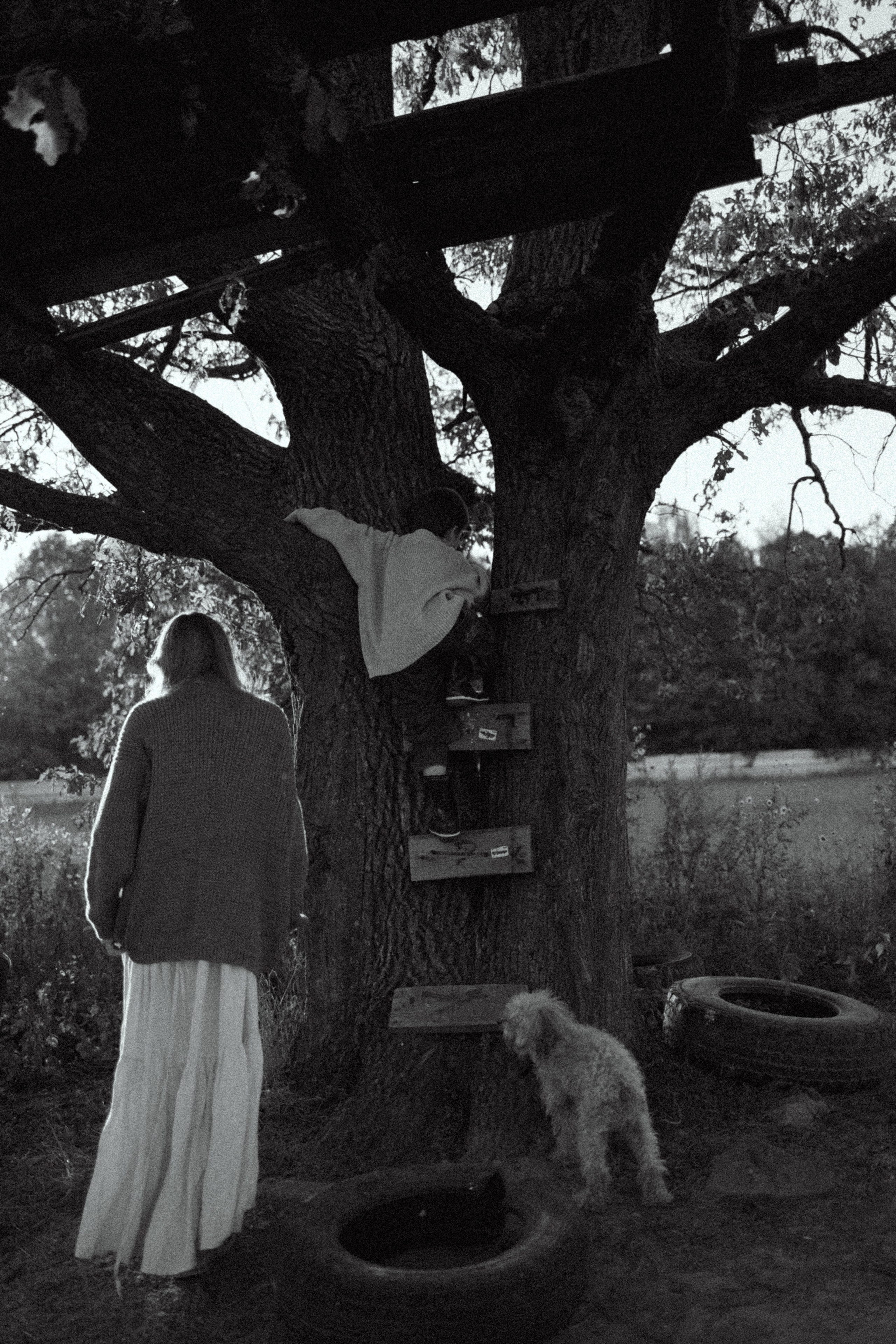 Домик на дереве. Семейный фотограф Москва Юлиана Фетисова