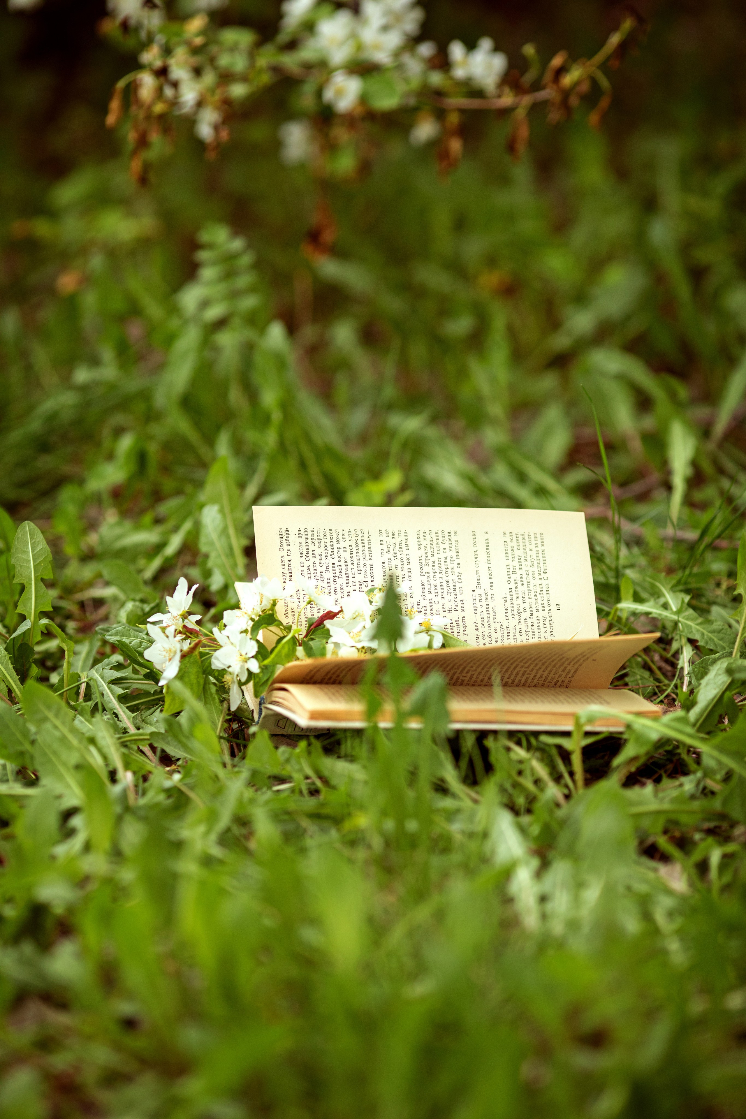 Романтичные фотосессии. Детский и семейный фотограф Ольга Юртаева