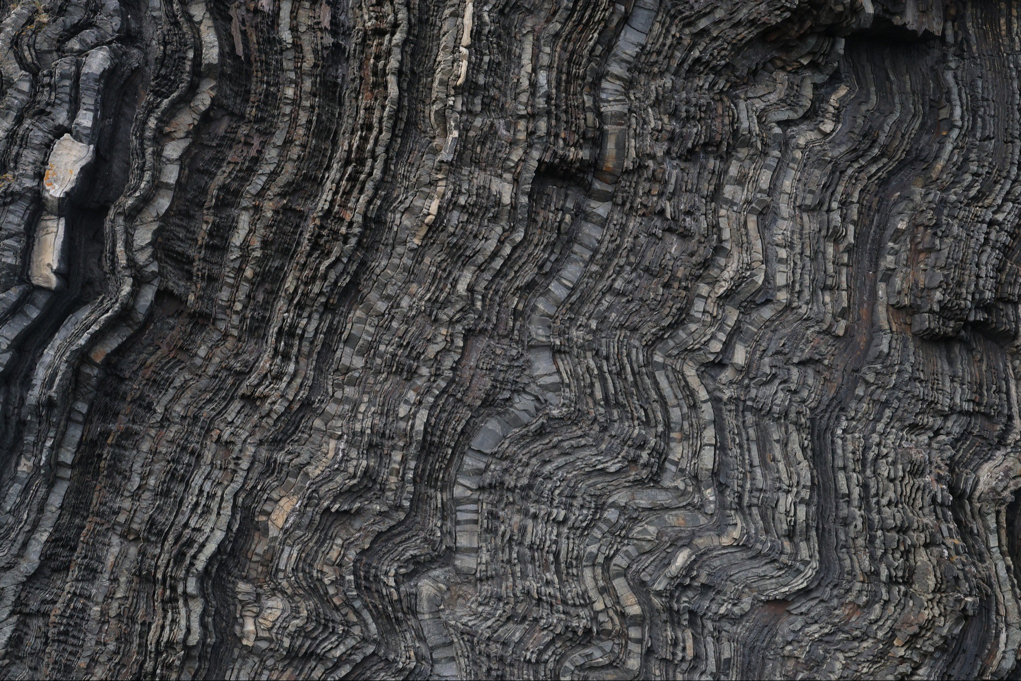 Стратификация, Природа, Михаил Глухов, Красногорск, SPC HM