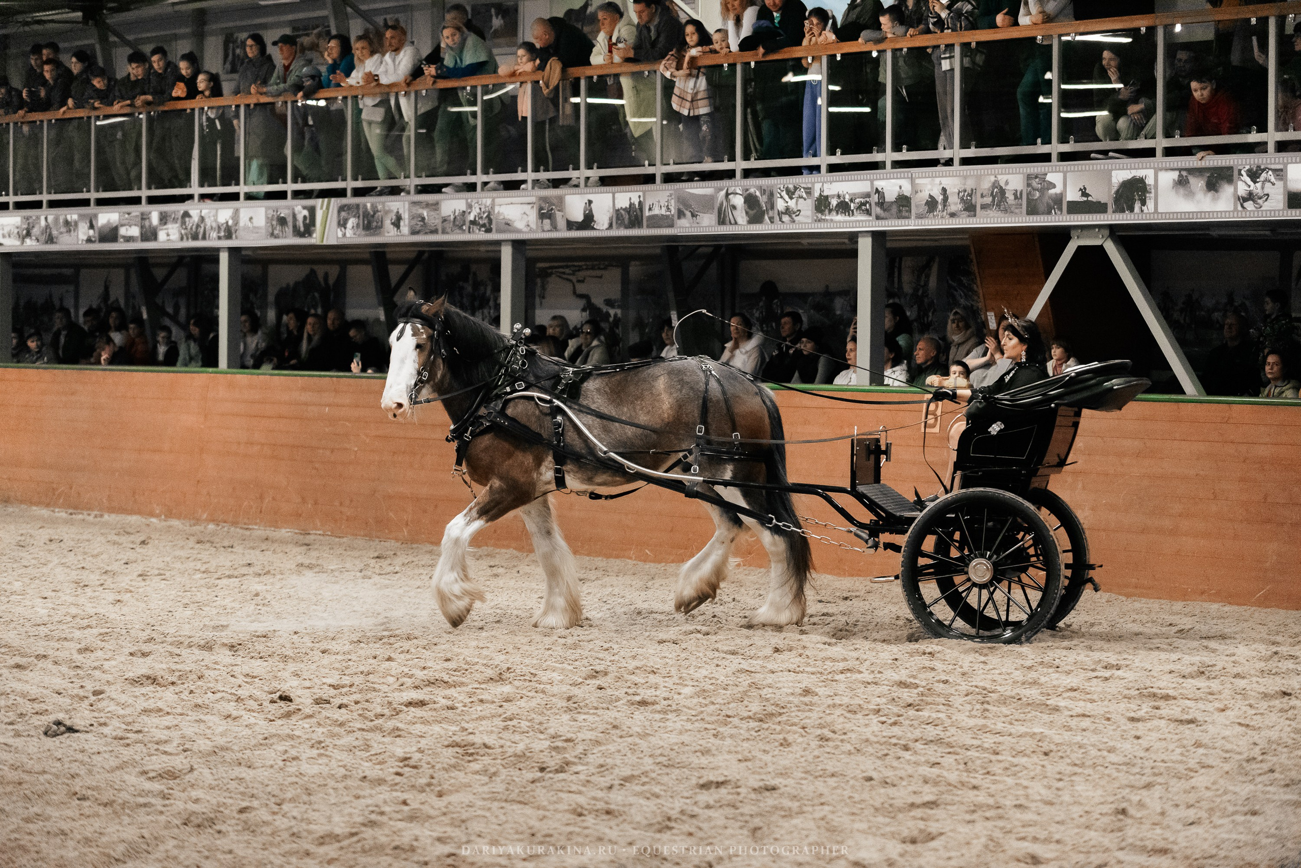 Конное представление «Дыхание Звёзд». Конный фотограф Куракина Дарья • Фотосессии с лошадьми
