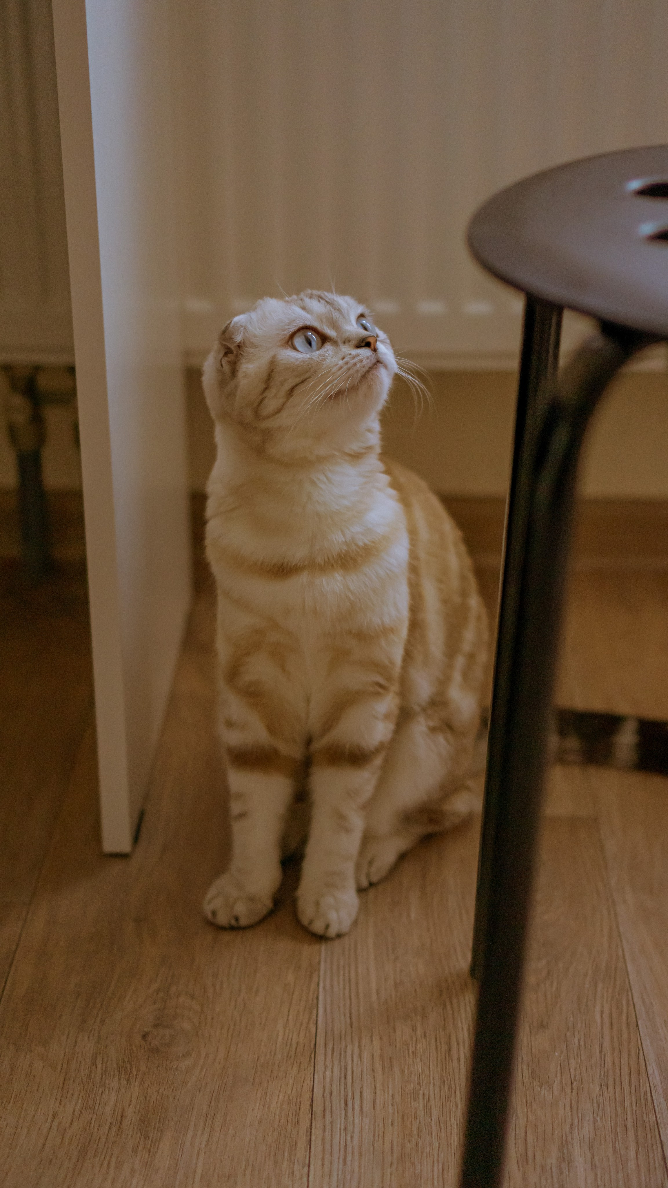 Ария. Фотограф в Кстово и Нижнем Новгороде KOLOSOK