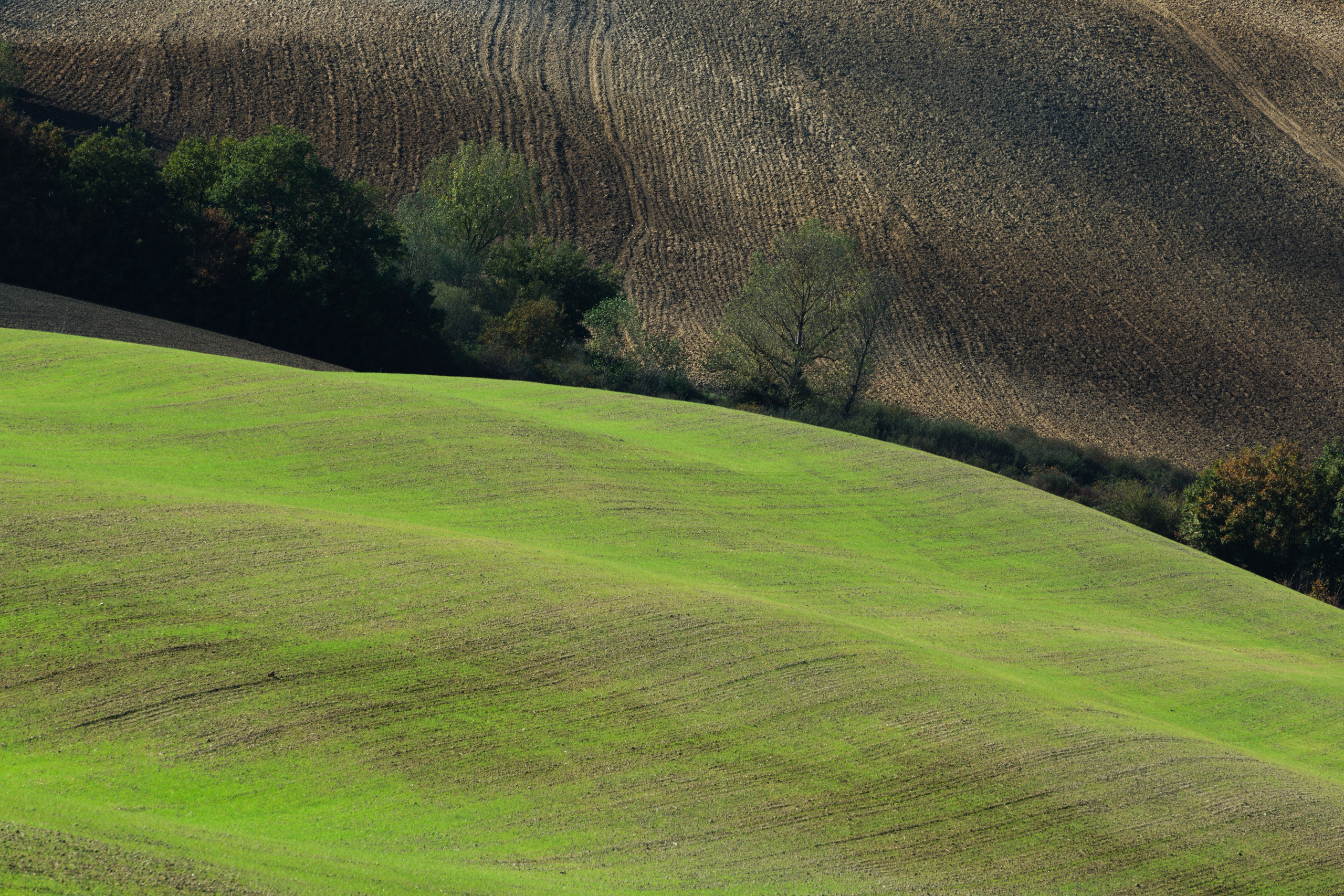 Абстрактный графичный пейзаж Тосканы: сильный контраст между яркими зелеными волнистыми холмами и темными текстурированными полями, подчеркивающий естественные линии и кривые ландшафта