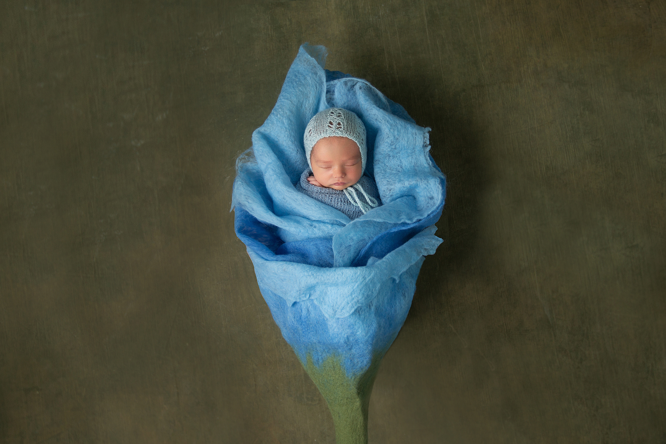 новорожденный малыш в коконе синего цветка