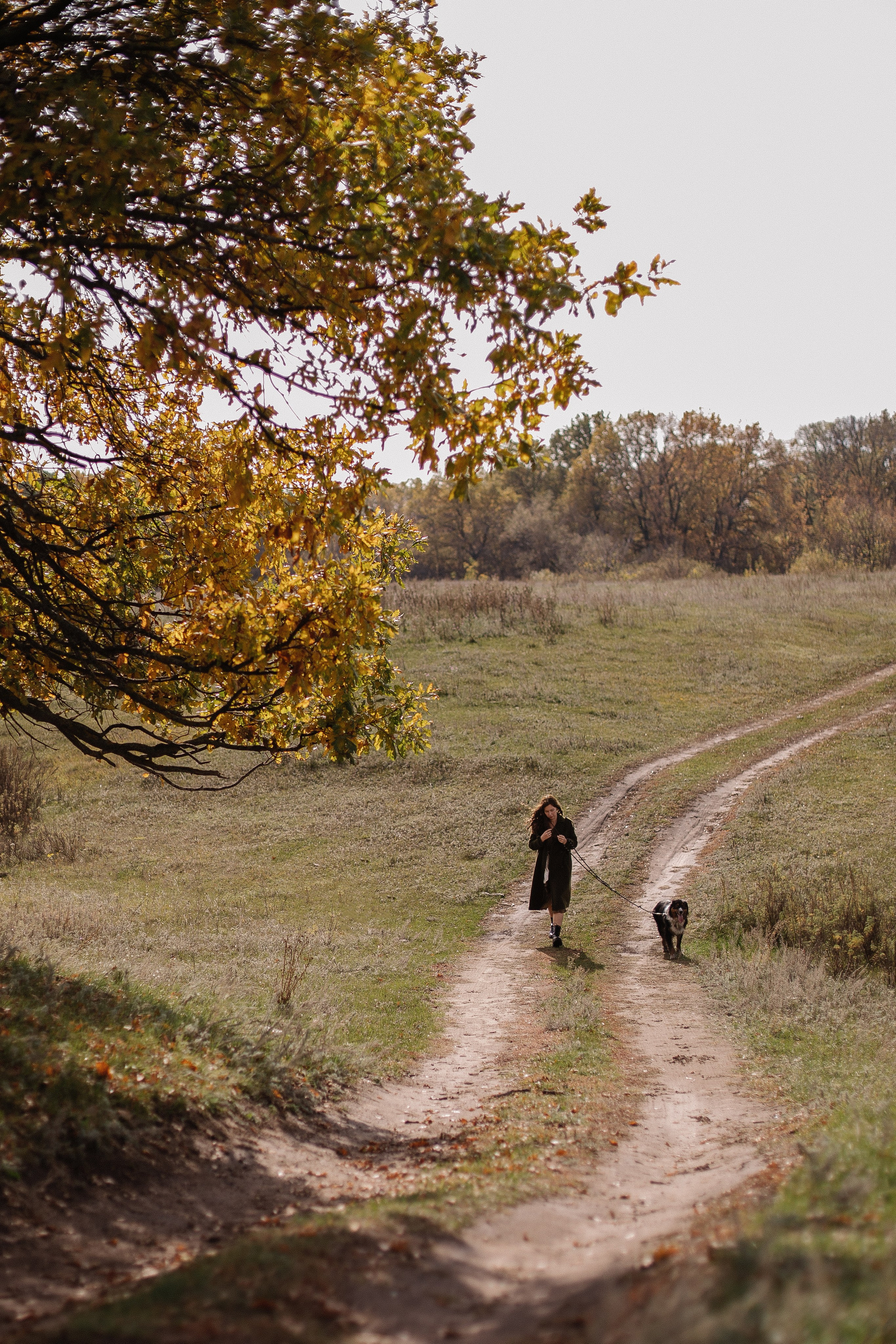 А давай запустим воздушного змея?. Семейный фотограф в Самаре